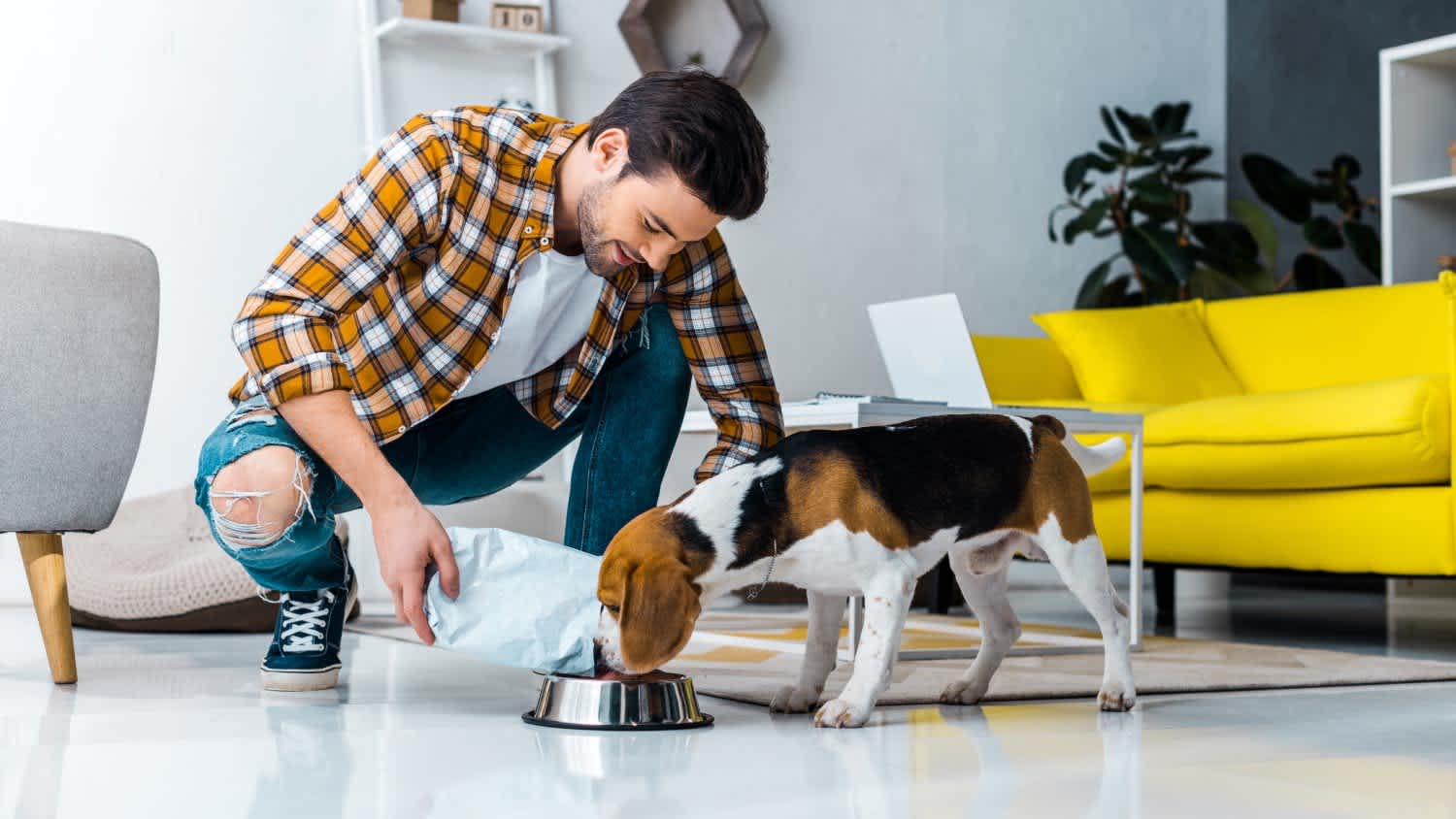 man pouring food in bowl for dog