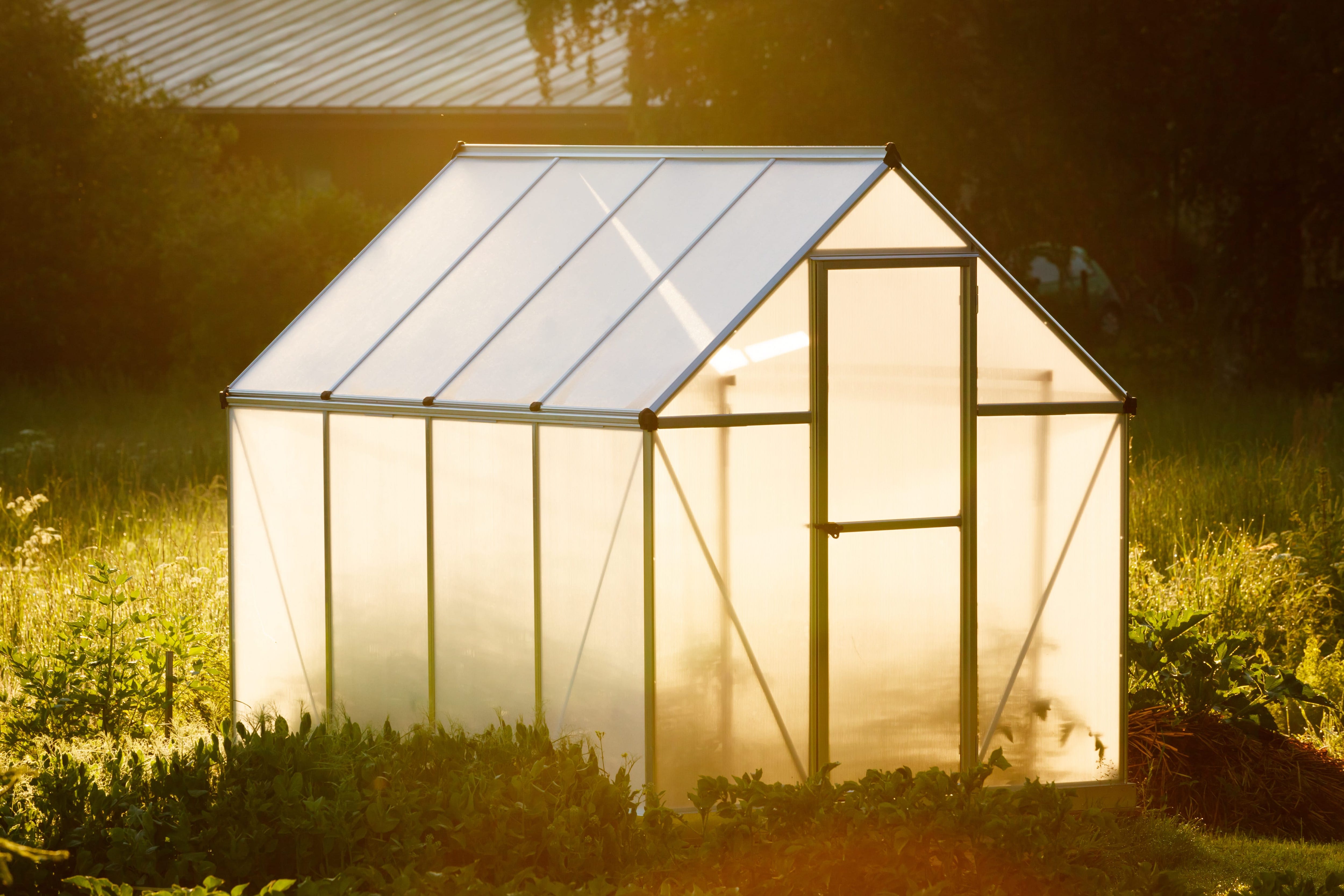 A greenhouse made from a greenhouse kit sitting in a backyard