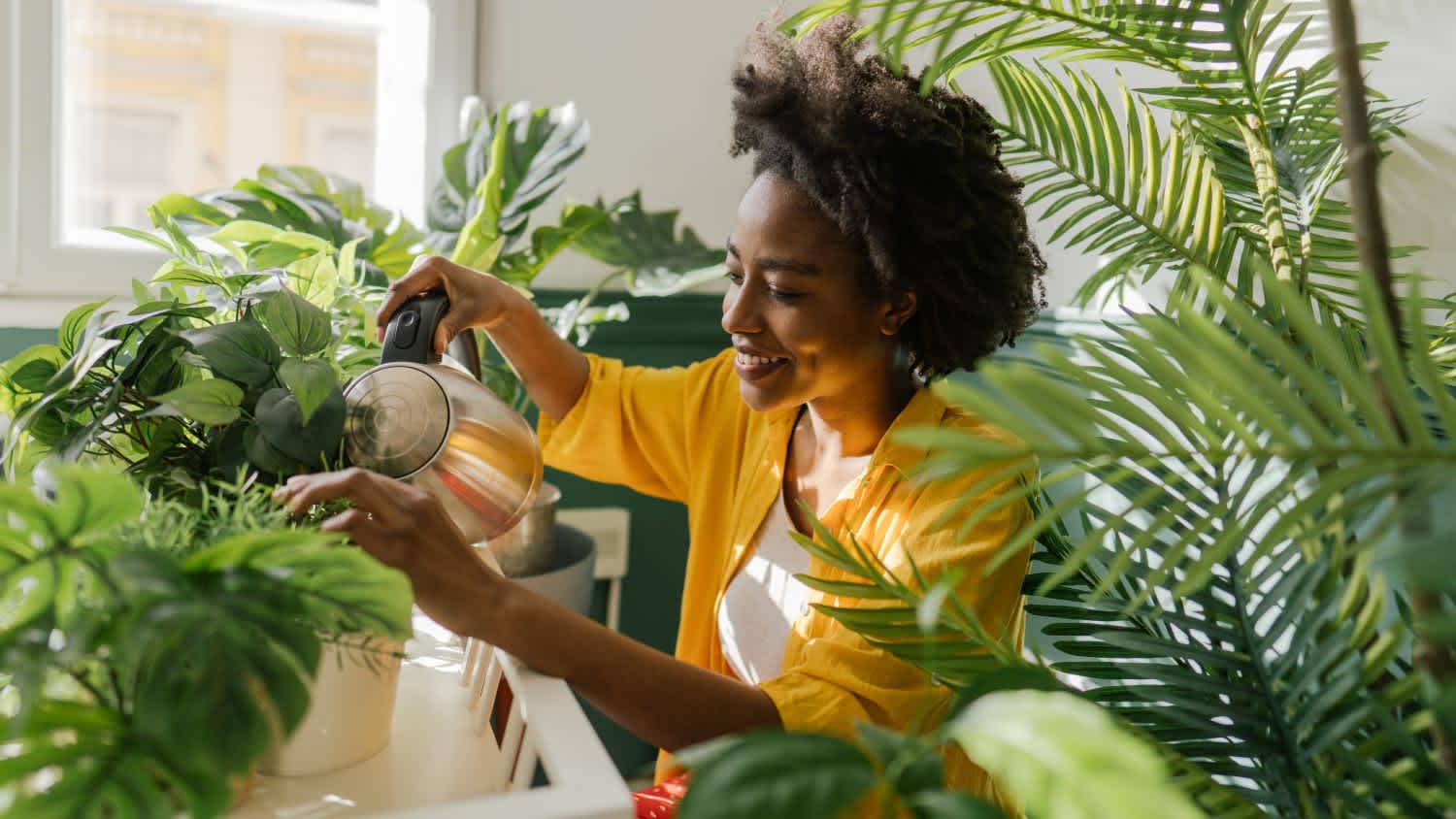 woman watering plants in living room