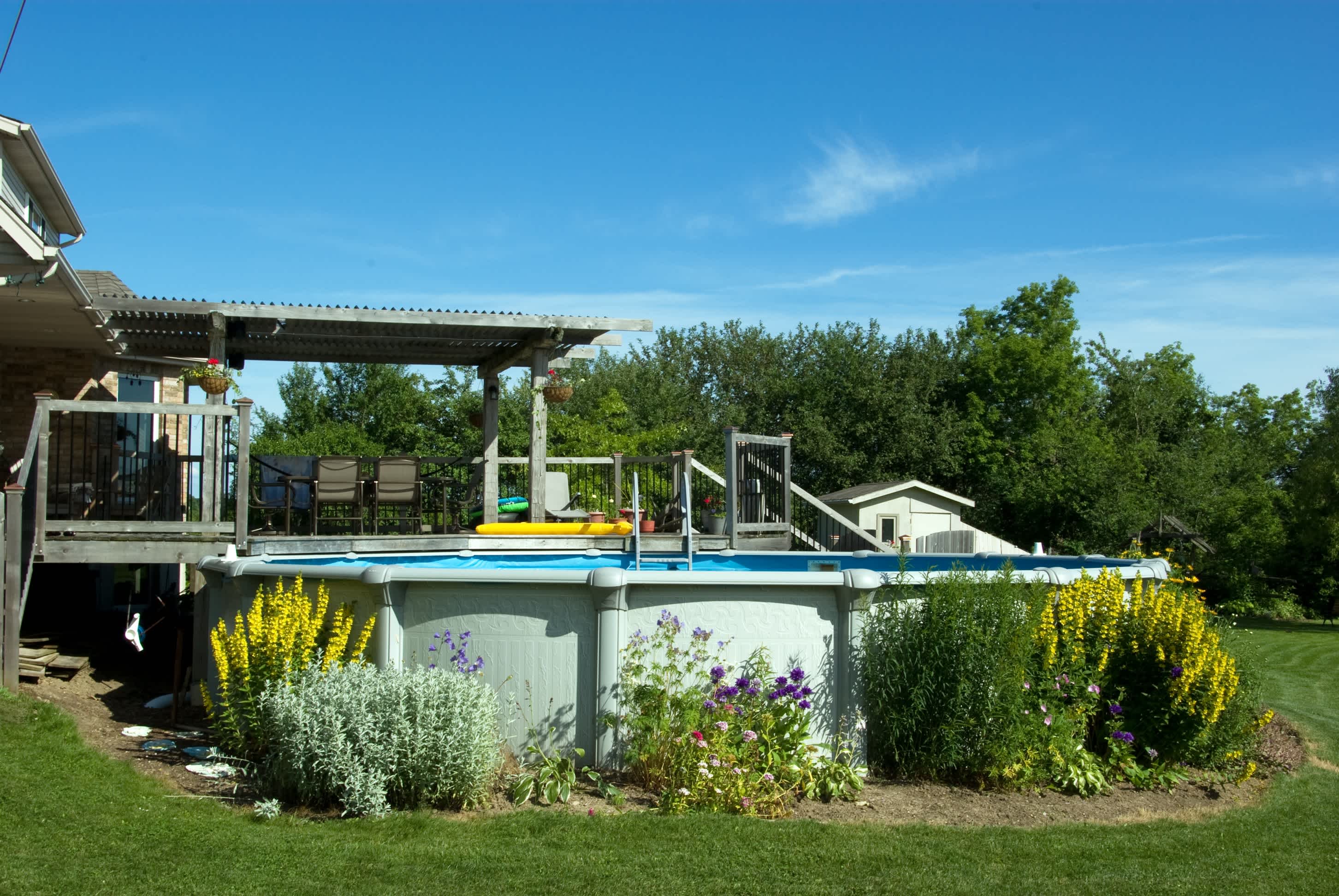 An backyard with an above-ground pool surrounded by flowers and shrubbery