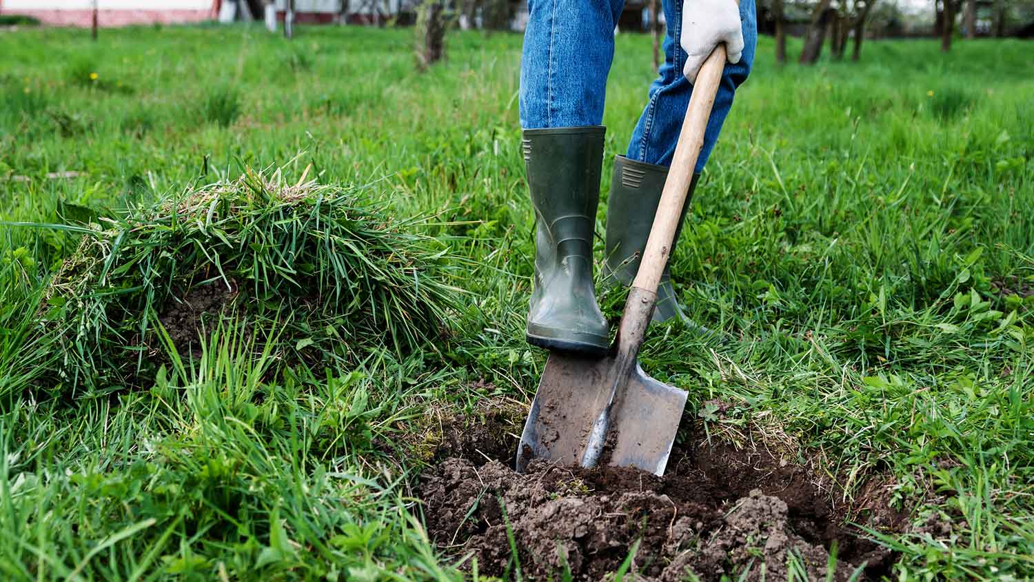 Man using garden shovel to dig a hole in his yard