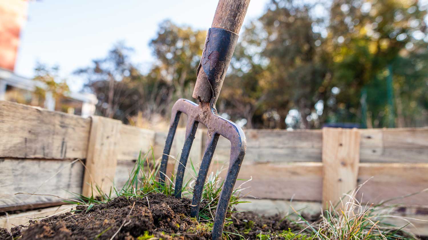 Garden fork to scoop fertilizer