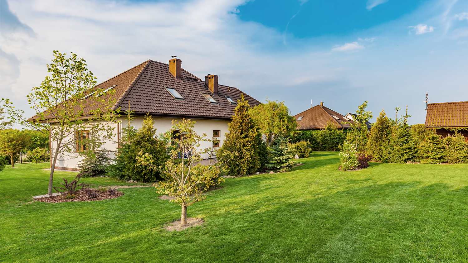 large green backyard with trees