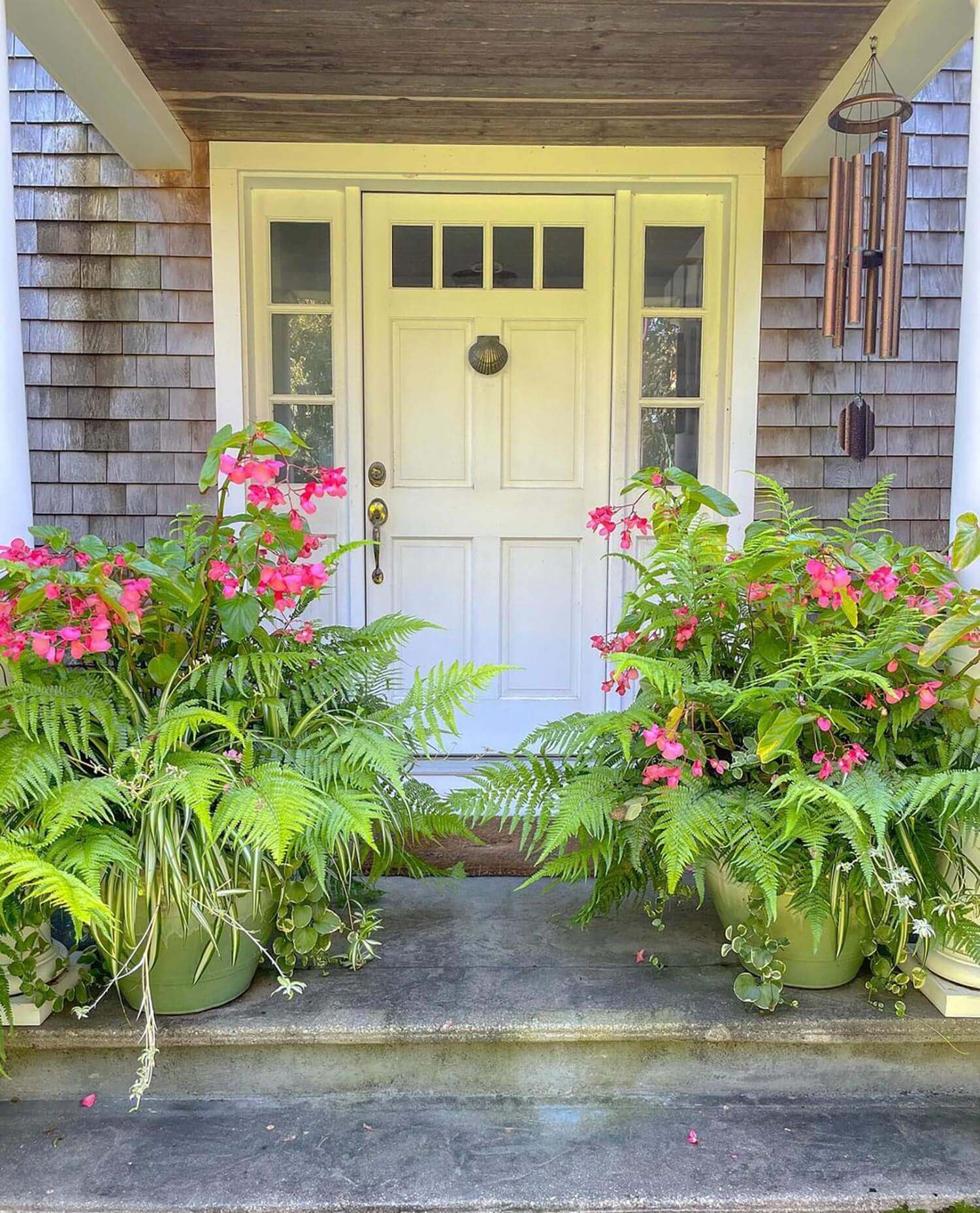 A colorful entryway containers with a variety of plants