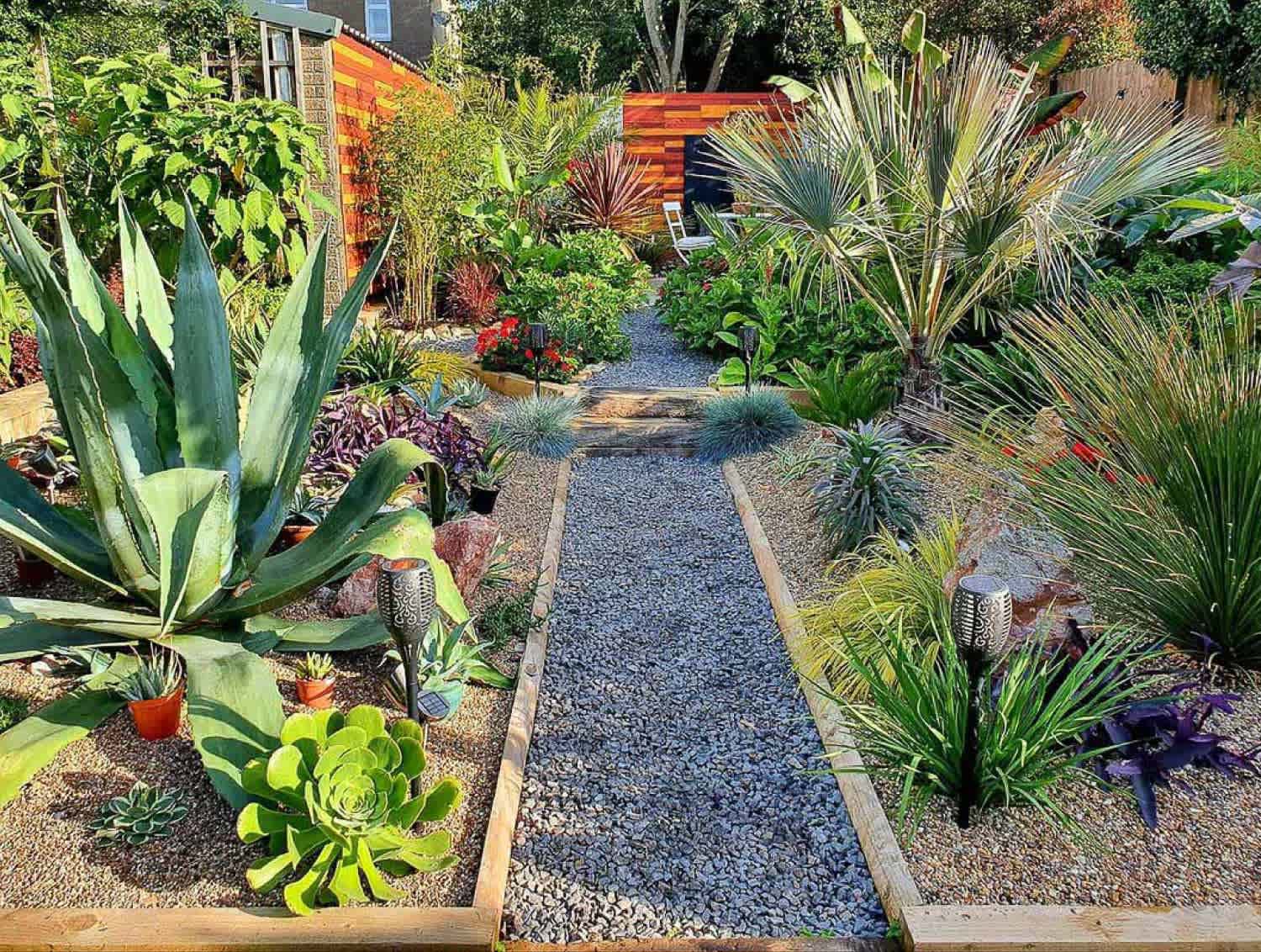 An exotic garden