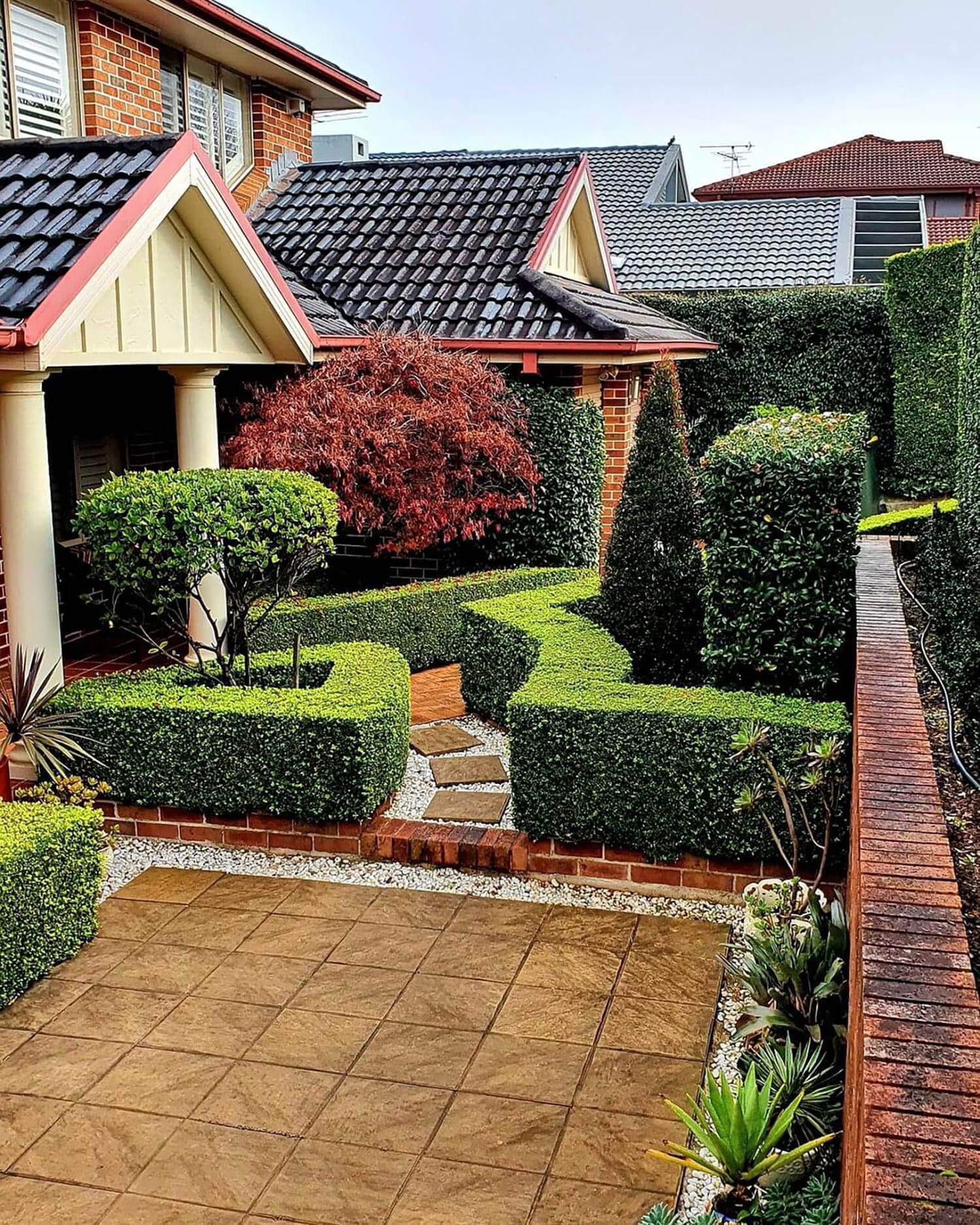 A front yard with boxwoods of evergreen shrubs