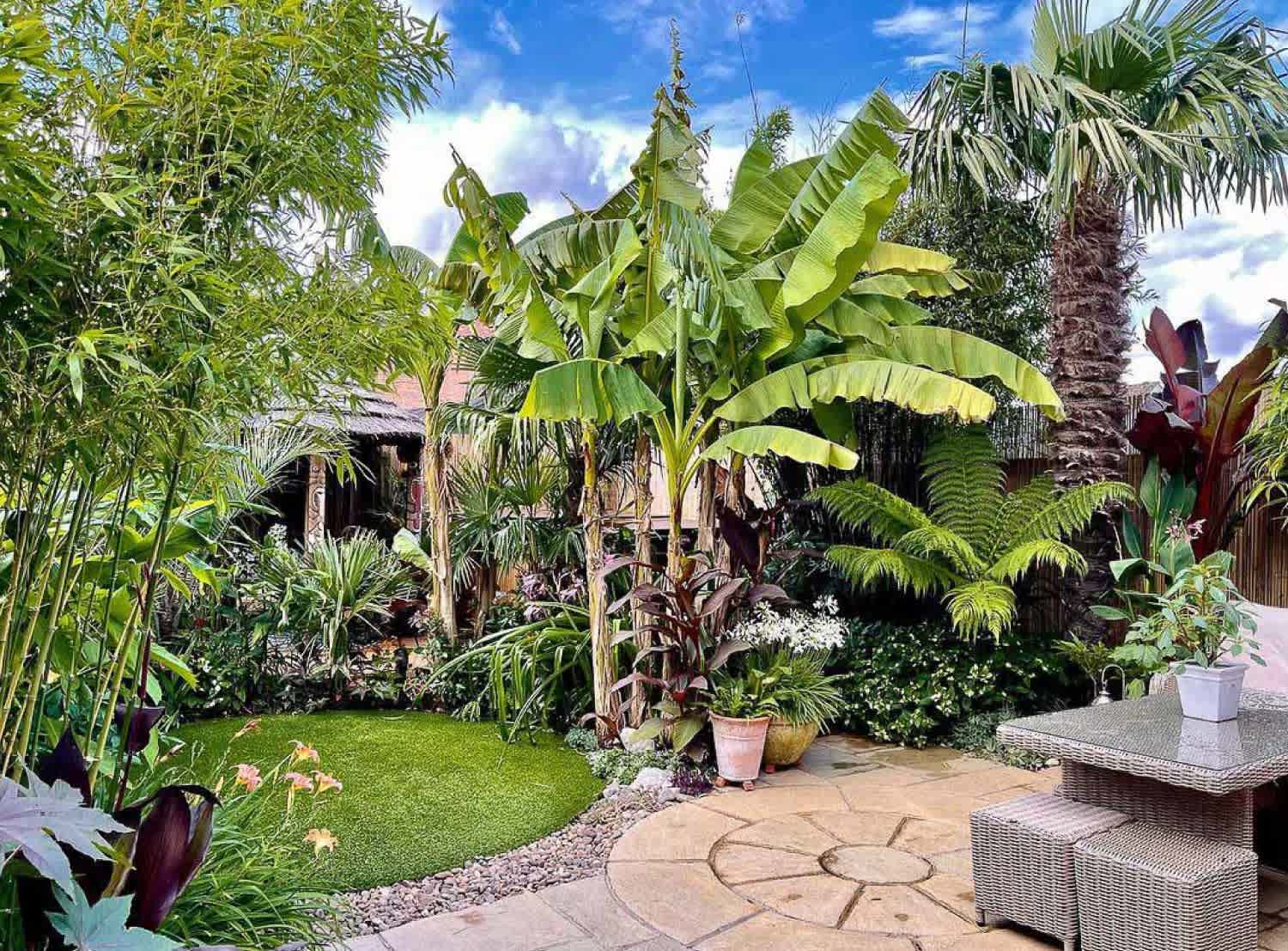 A tropical garden at home