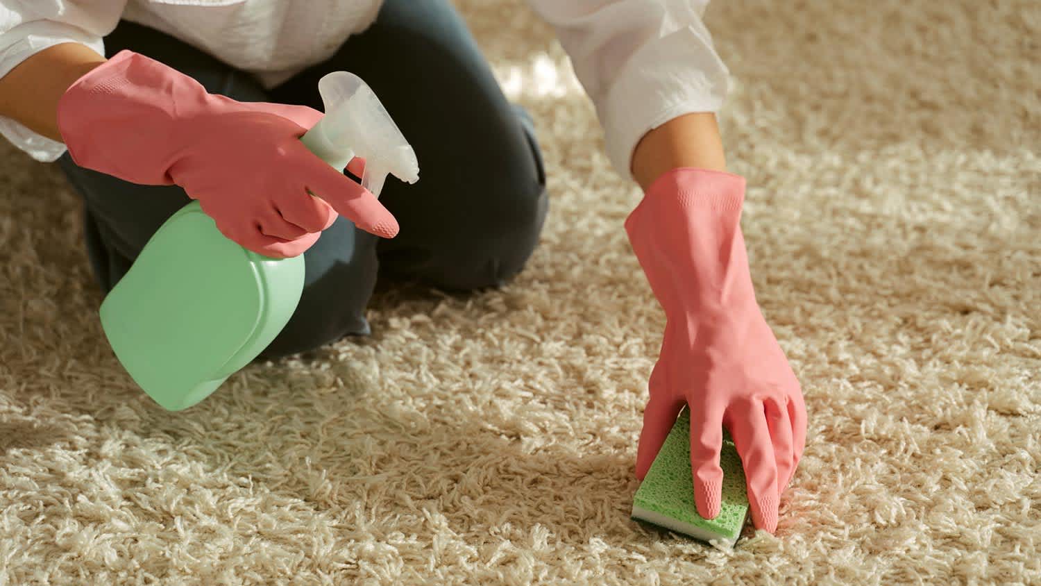 A woman with protective gloves washing a carpet