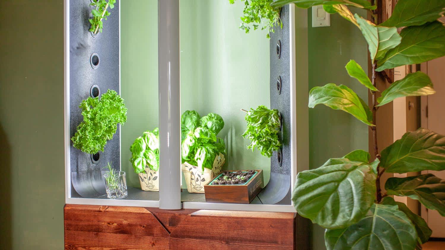 A beautiful wooden cabinet with a hydroponic system for growing vegetables