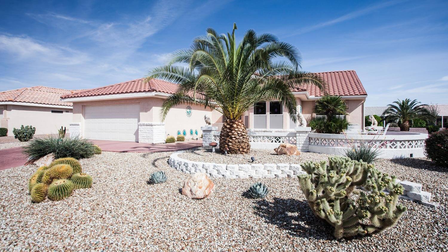 cactus garden landscaping