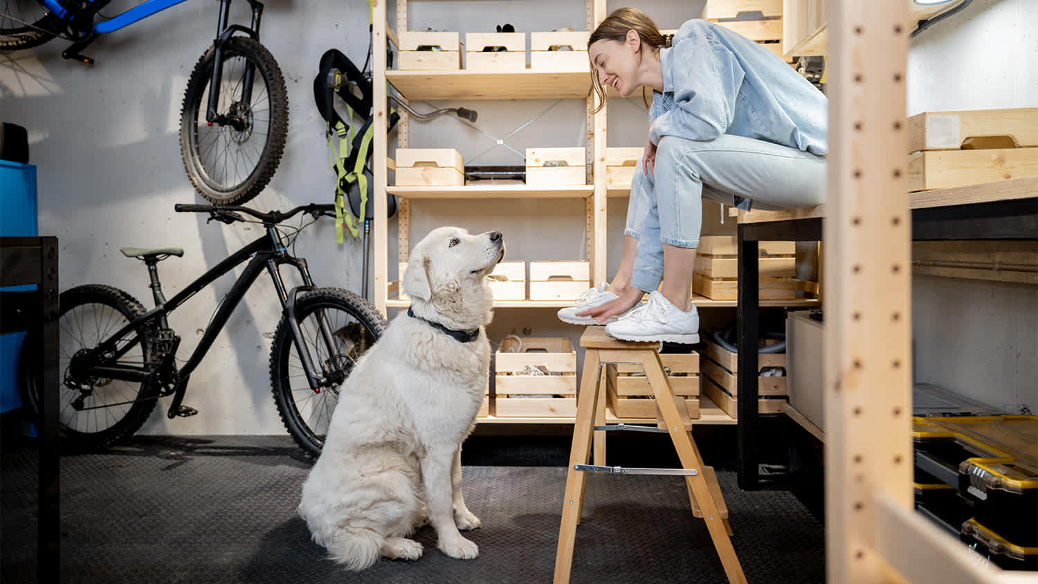 Dog in Front of Garage Door