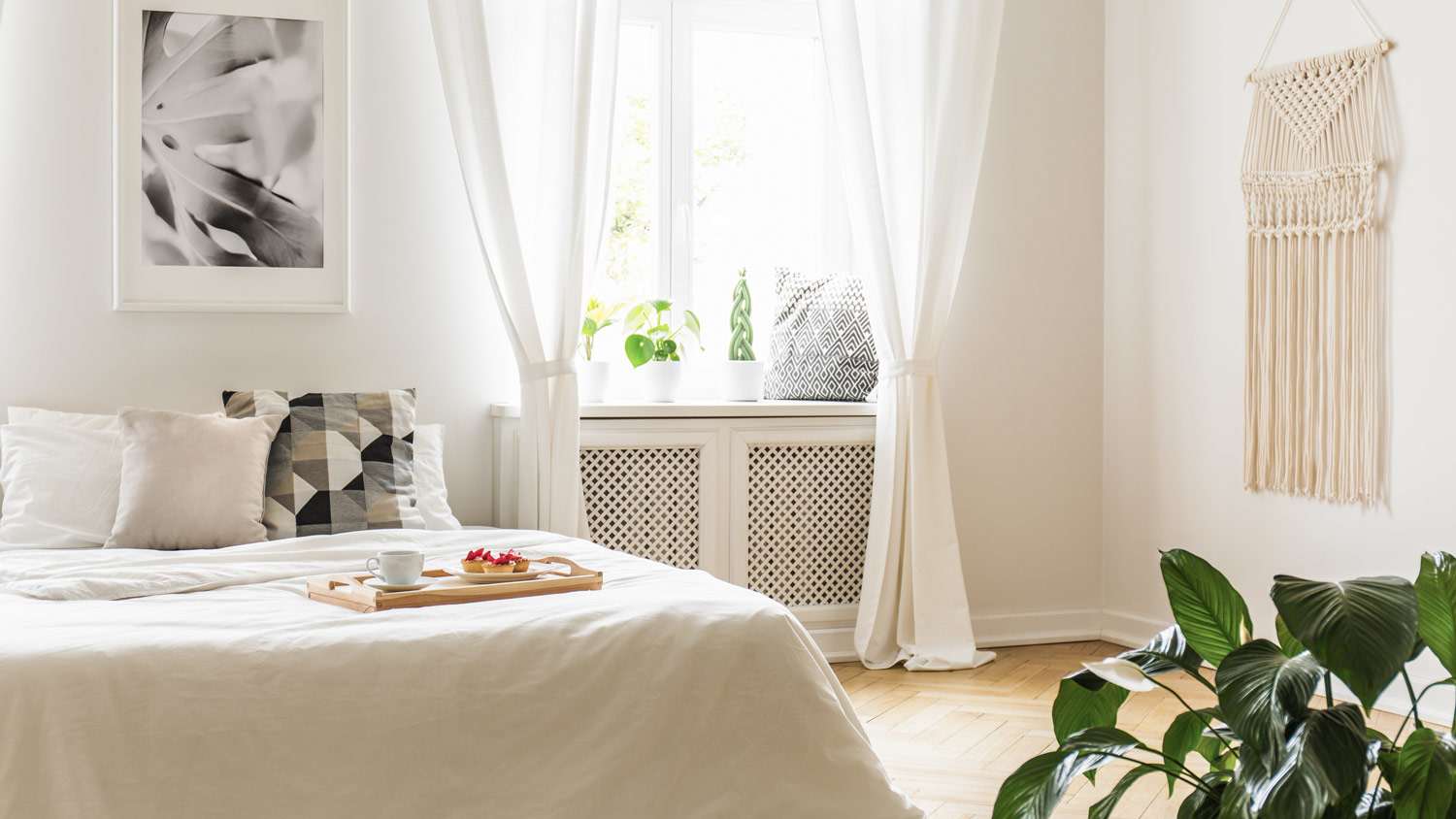 A bright bedroom with a plant and breakfast served on bed