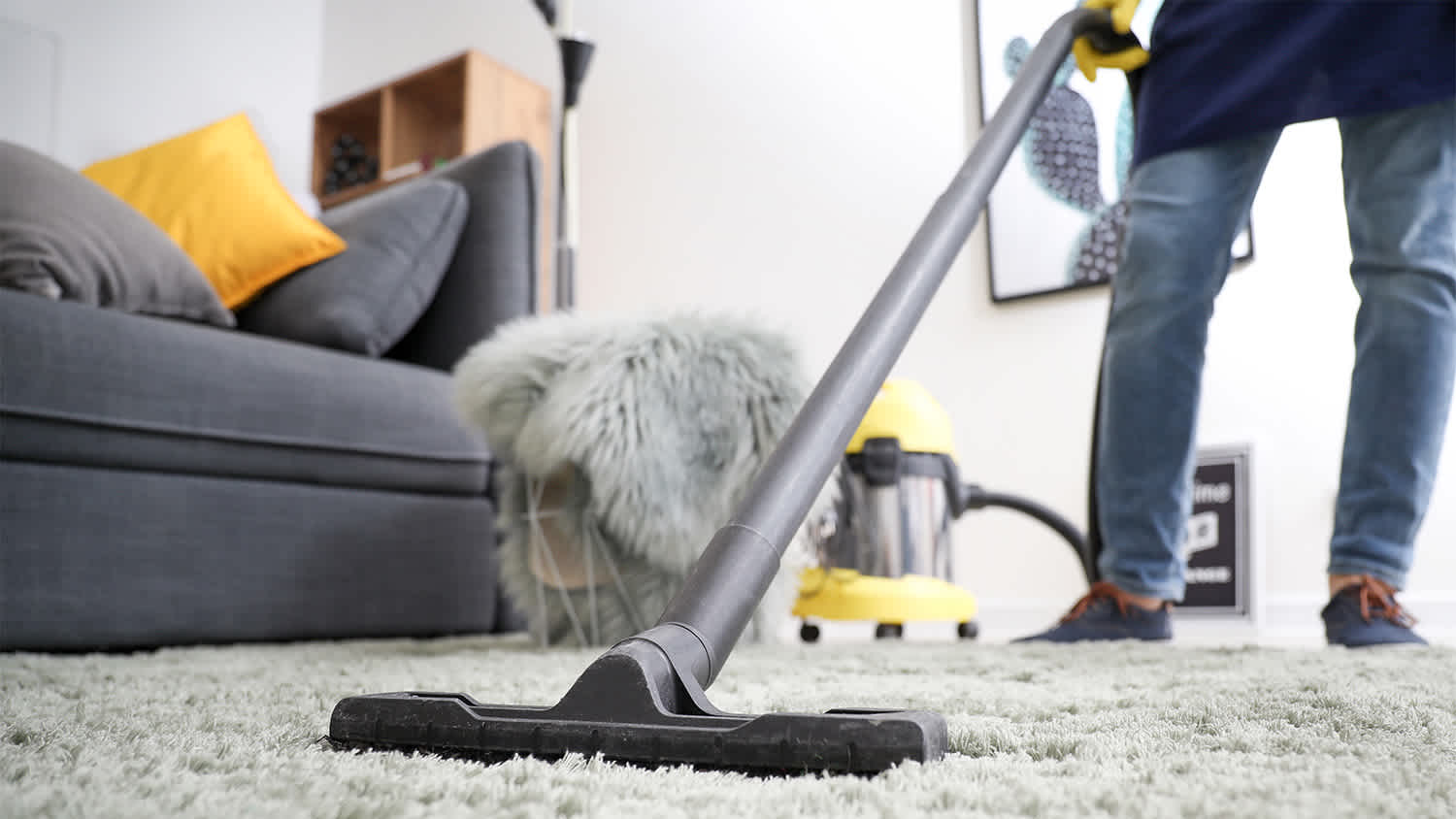 professional dry vacuuming  carpet