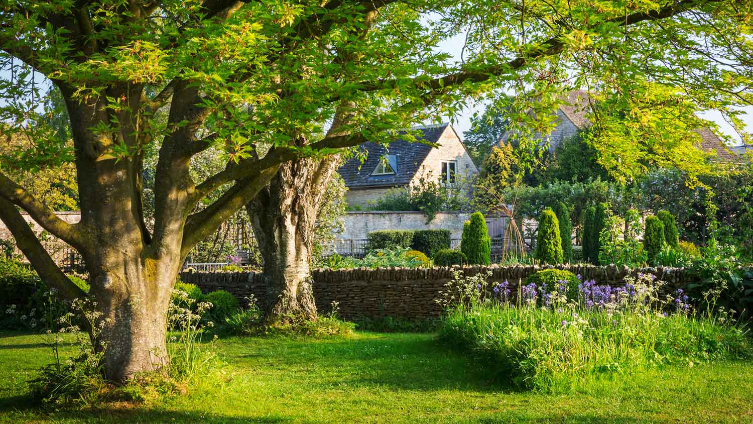 A garden with trees