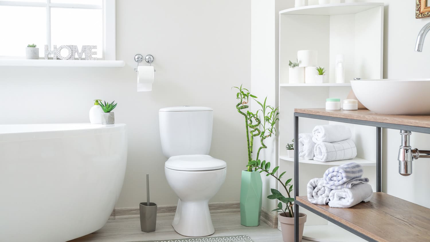 The interior of a clean and modern bathroom