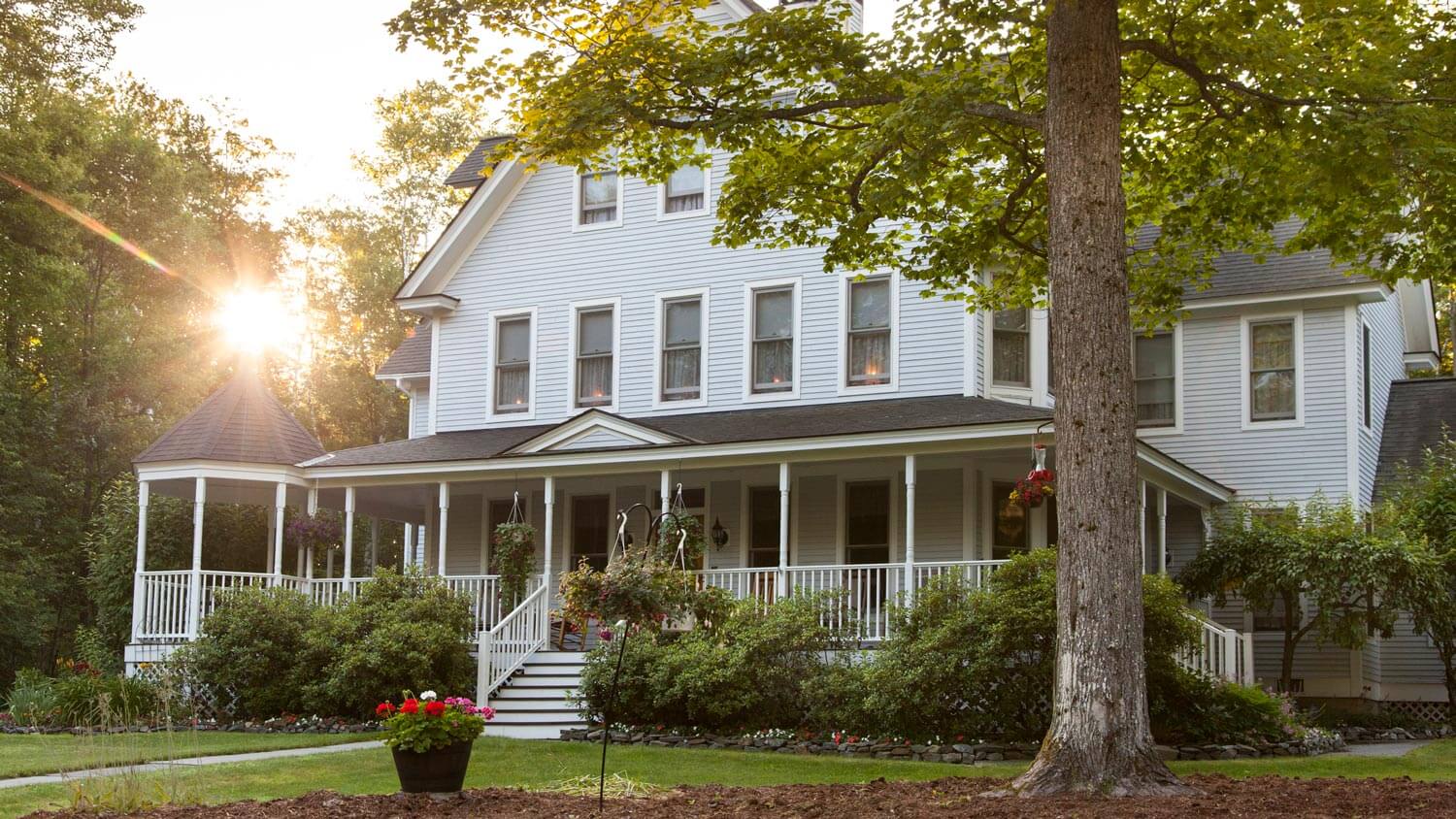 A traditional house with a big tree on the garden