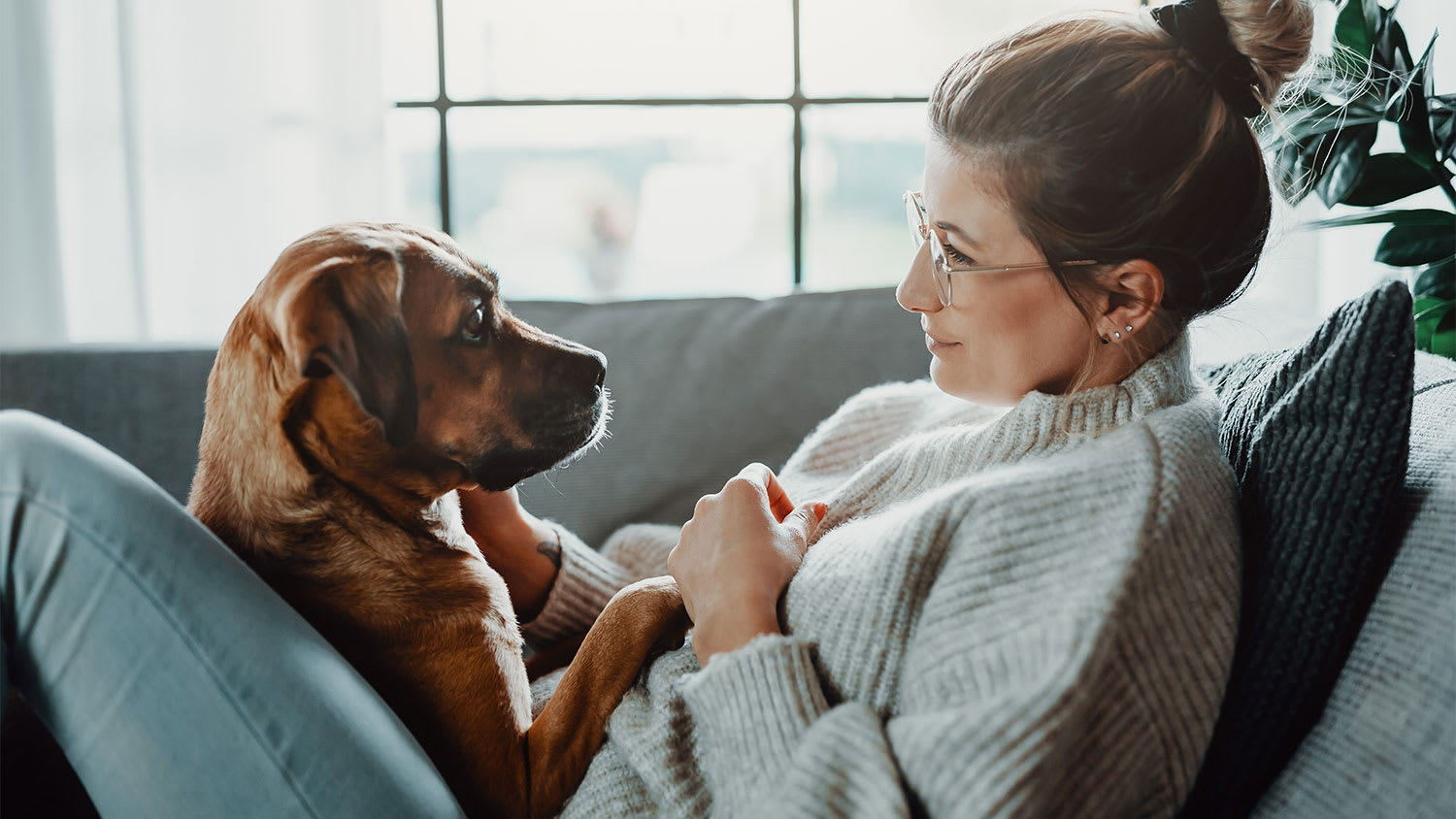 Woman cuddling with her dog on the couch