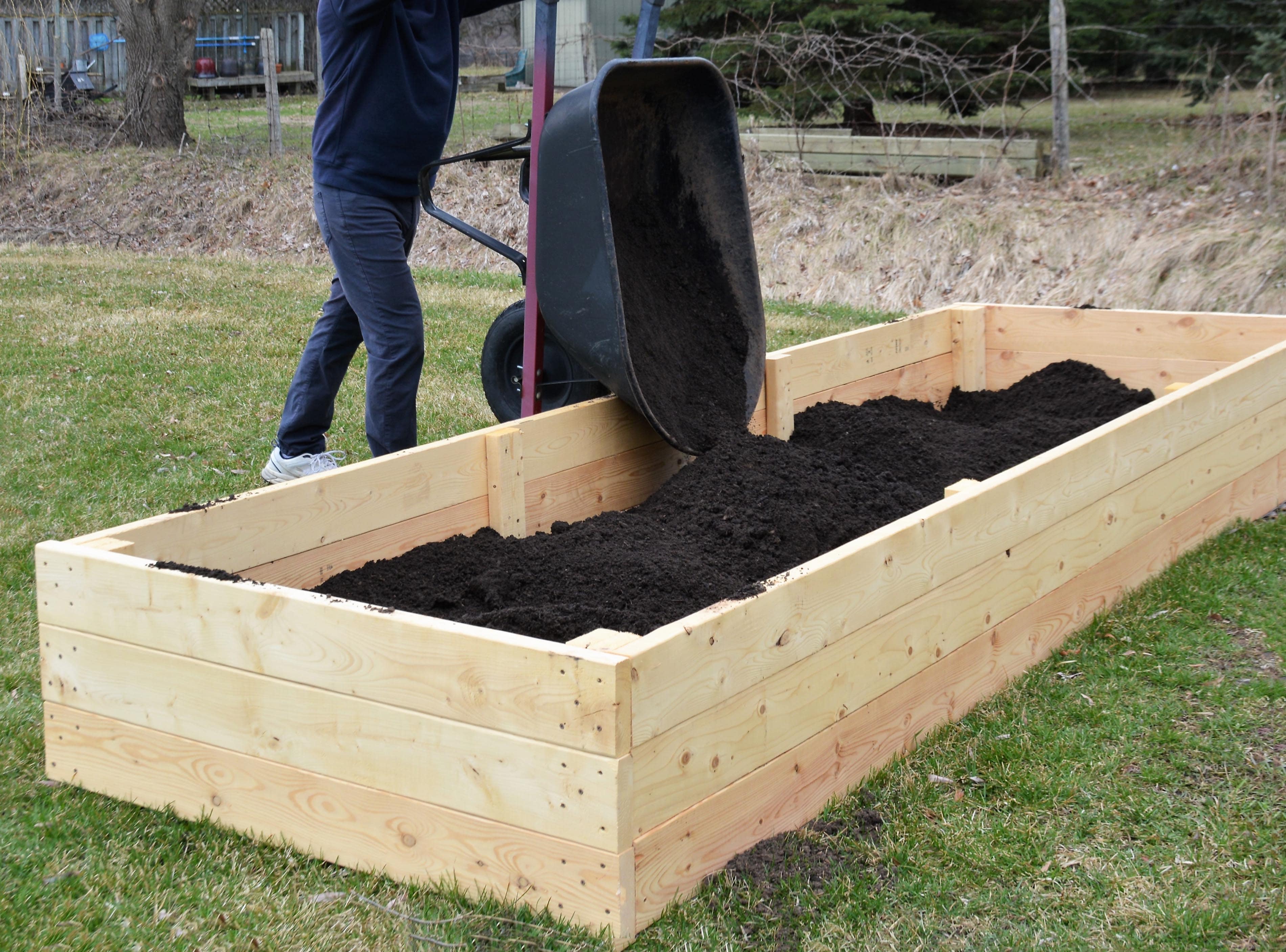 A person dumping dirt into an elevated garden box