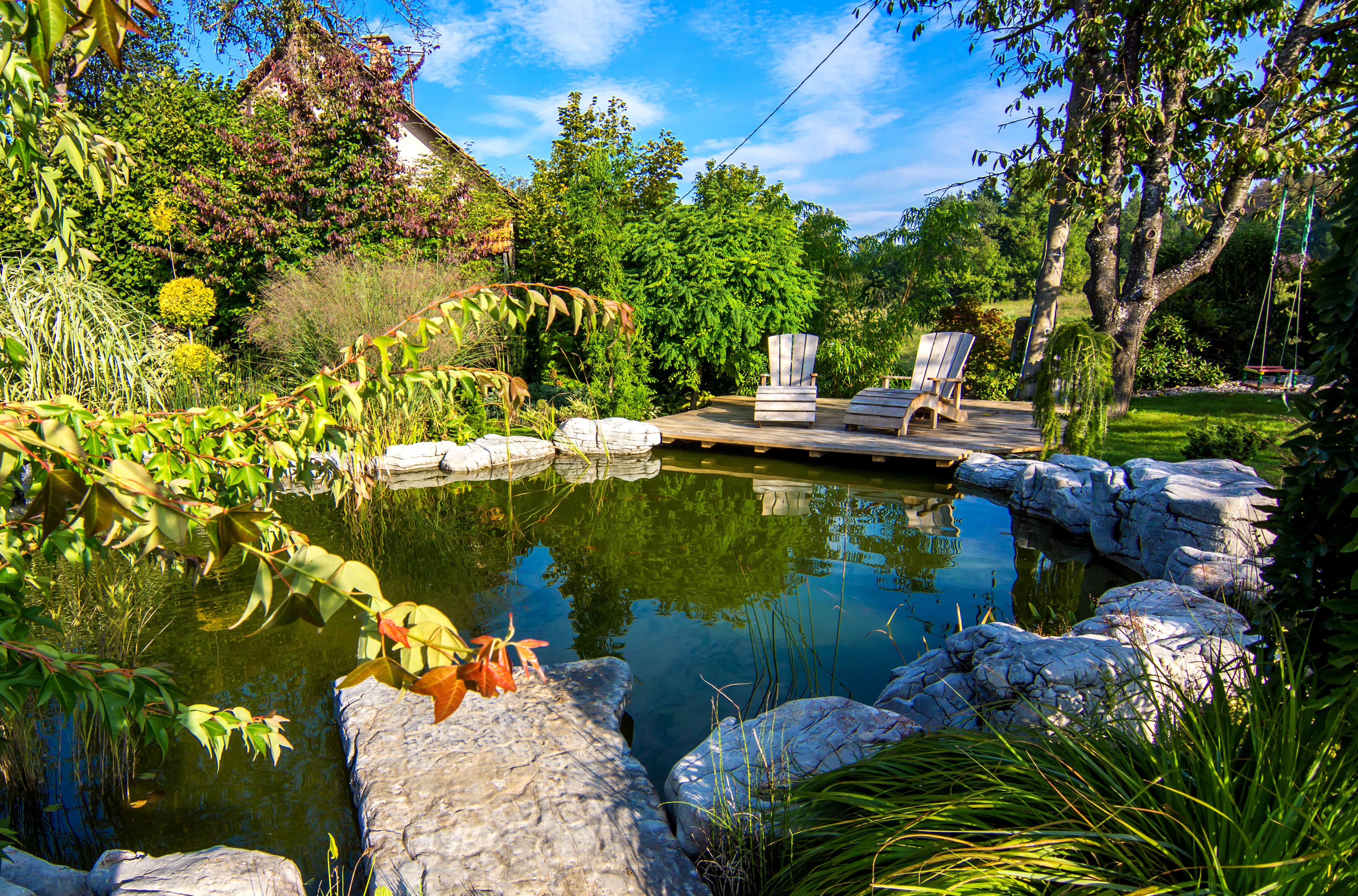 Two Adirondack chairs on a deck overlooking a backyard pond