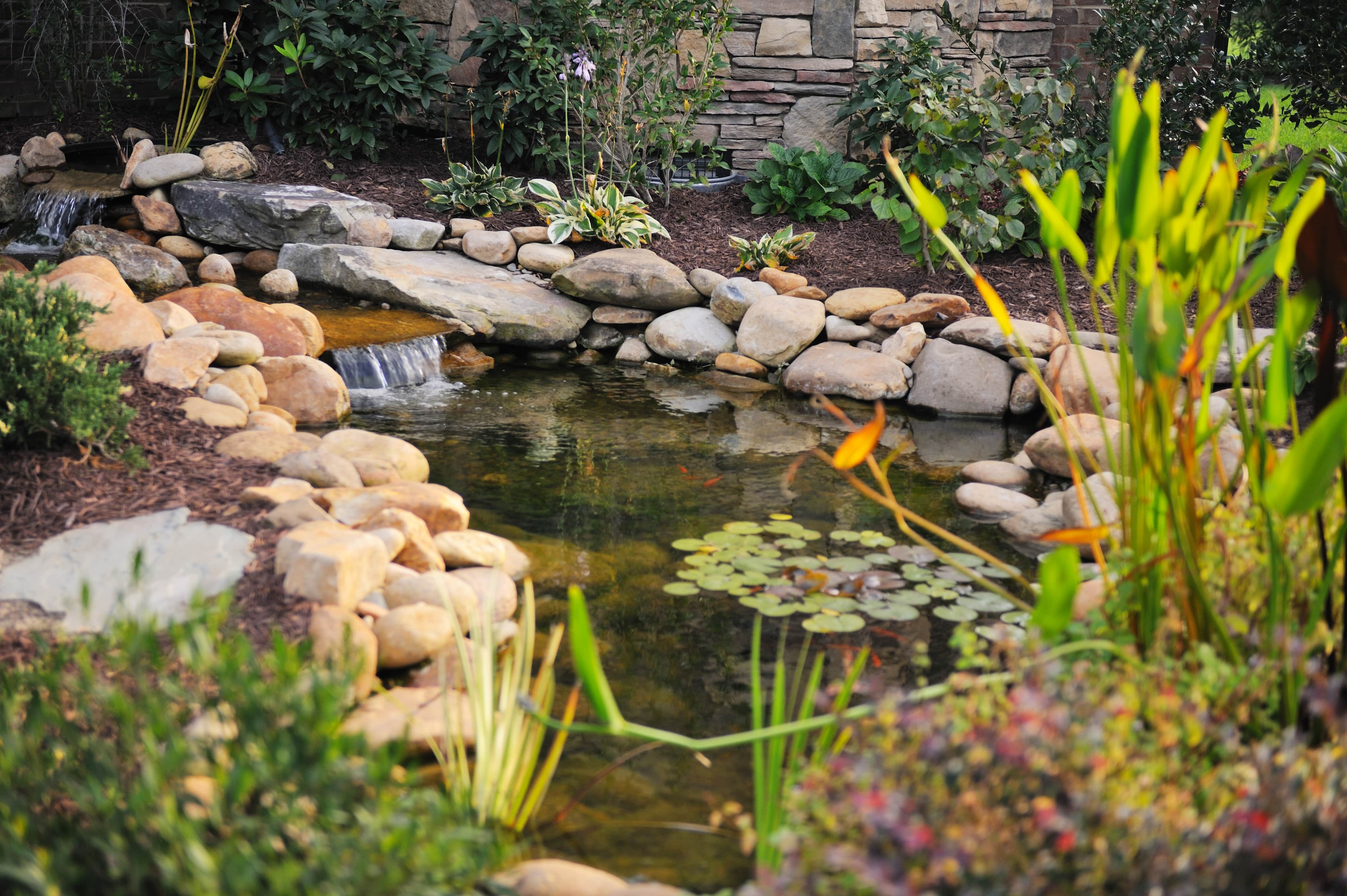 A koi pond with a small waterfall surrounded by landscaping stones, mulch, and plants