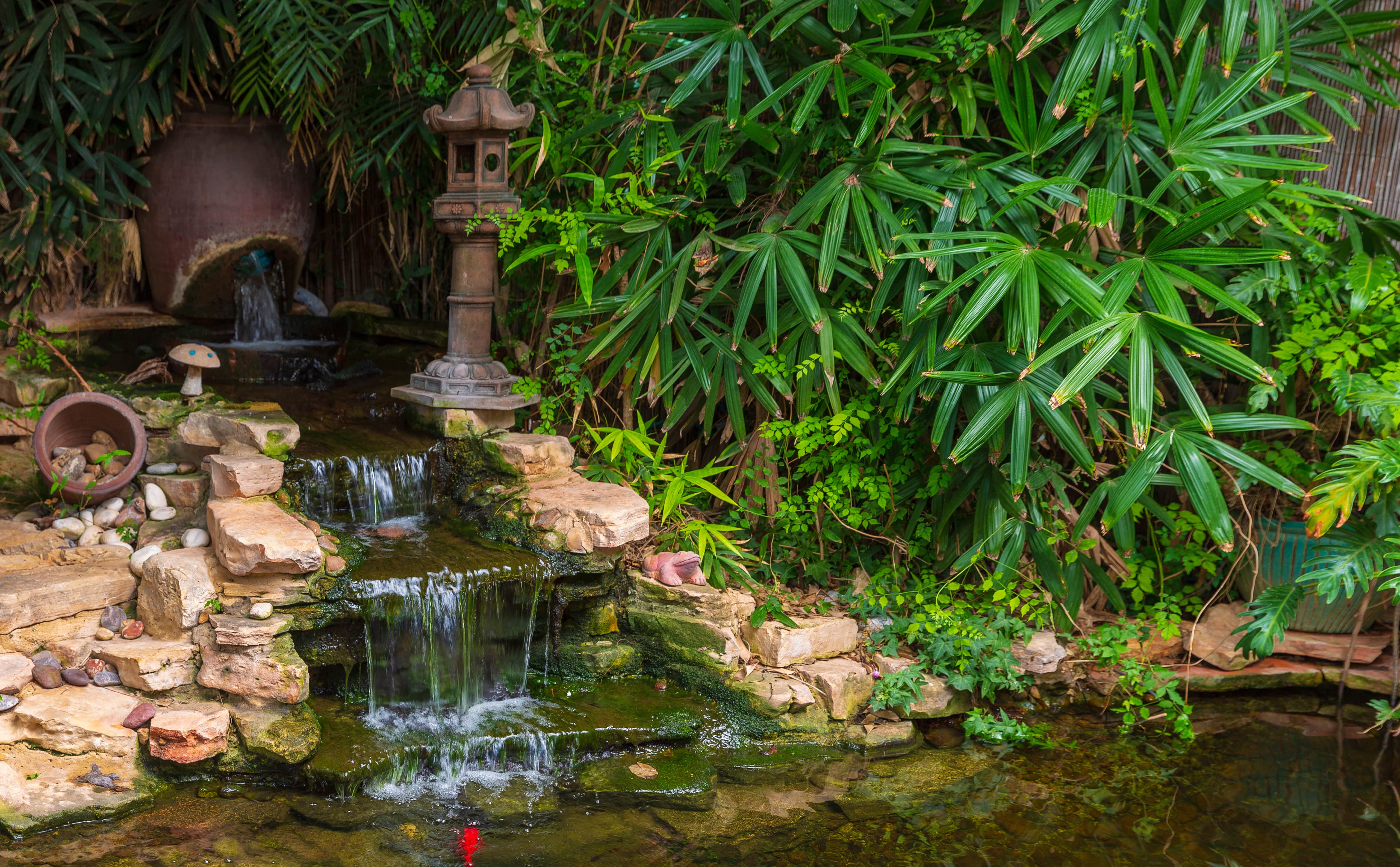An artificial waterfall emptying into a koi pond