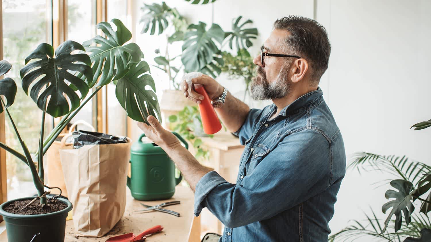 Man spray plants window