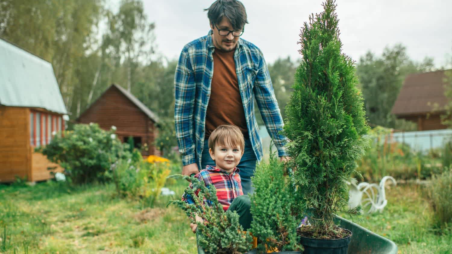 Father and son planting new trees at his backyard