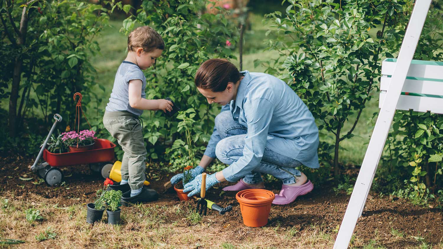 Mother and toddler son planting flowers in the yard