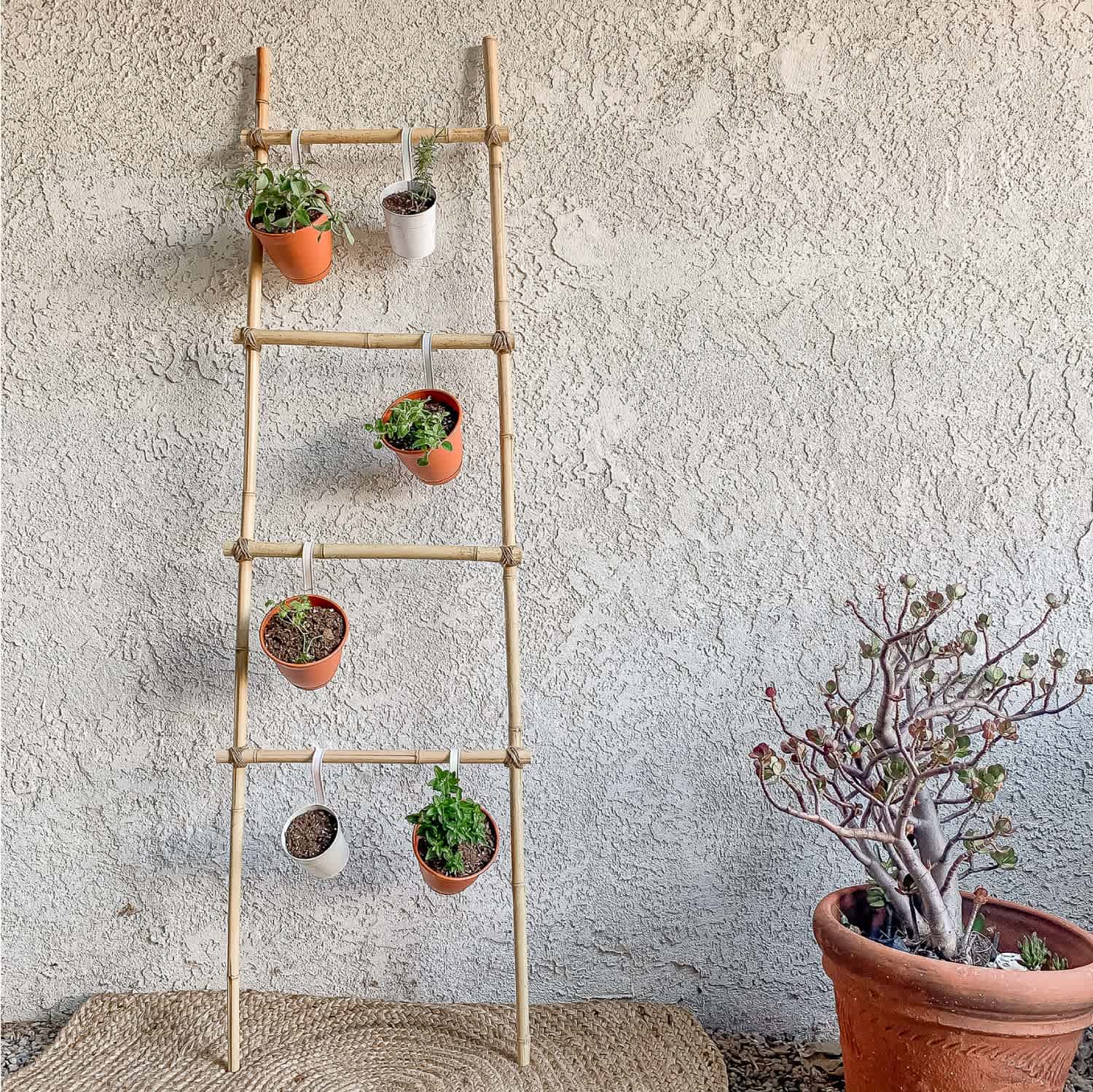 A DIY Herb Ladder
