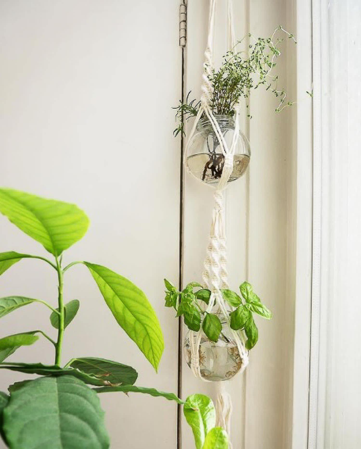 A hanging light bulb planter