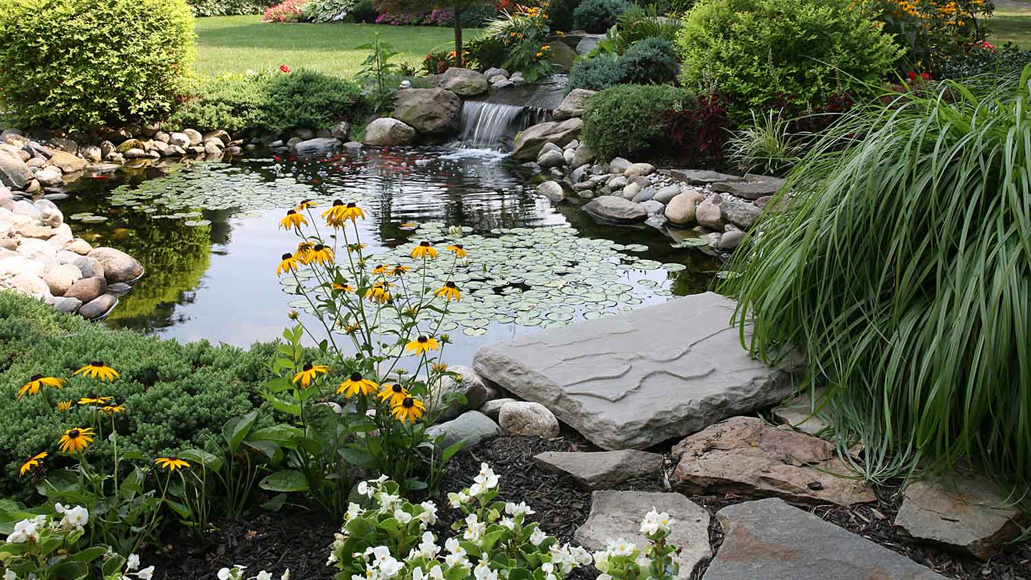 Koi pond