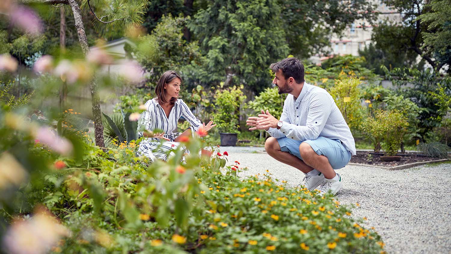 Landscape Architect vs. Landscape Designer: Who to Hire | Angi