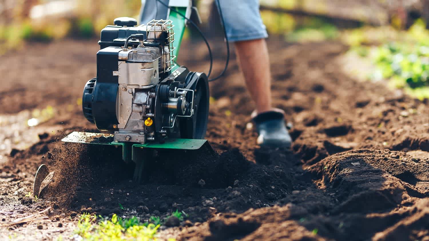 A man handling a rototiller in his garden
