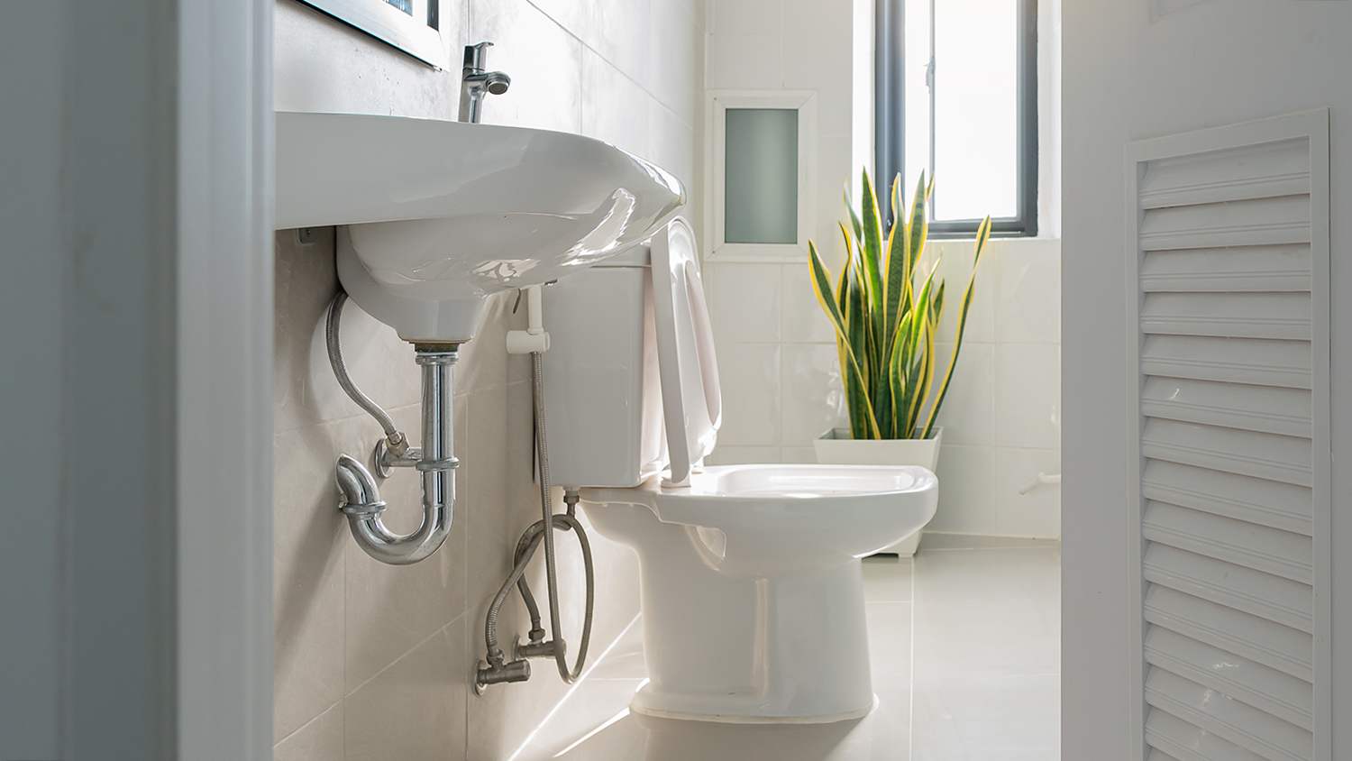close up shot of bathroom toilet