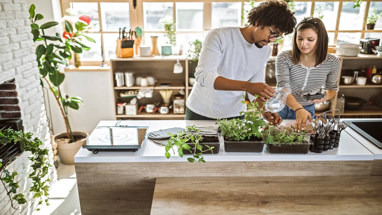 A couple taking care of kitchen herbs