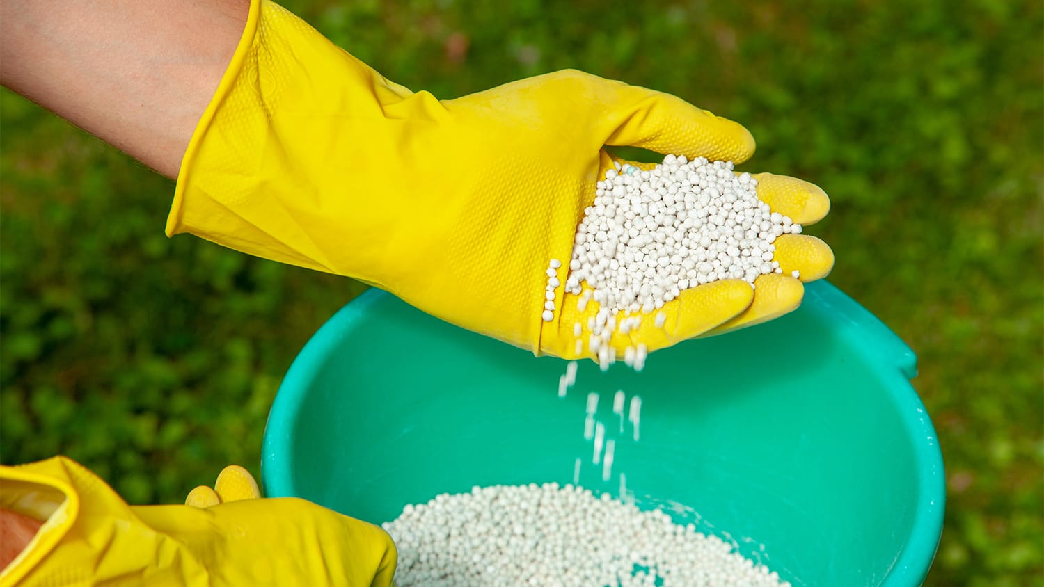 white fertilizer balls in hand