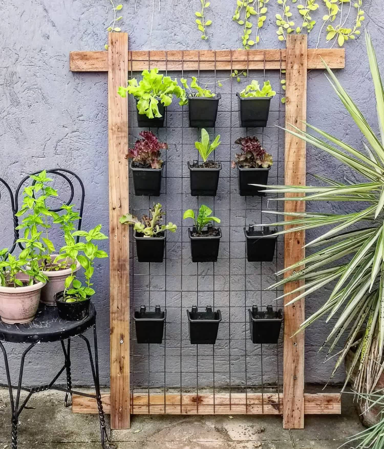 A vertical garden for salad greens and herbs