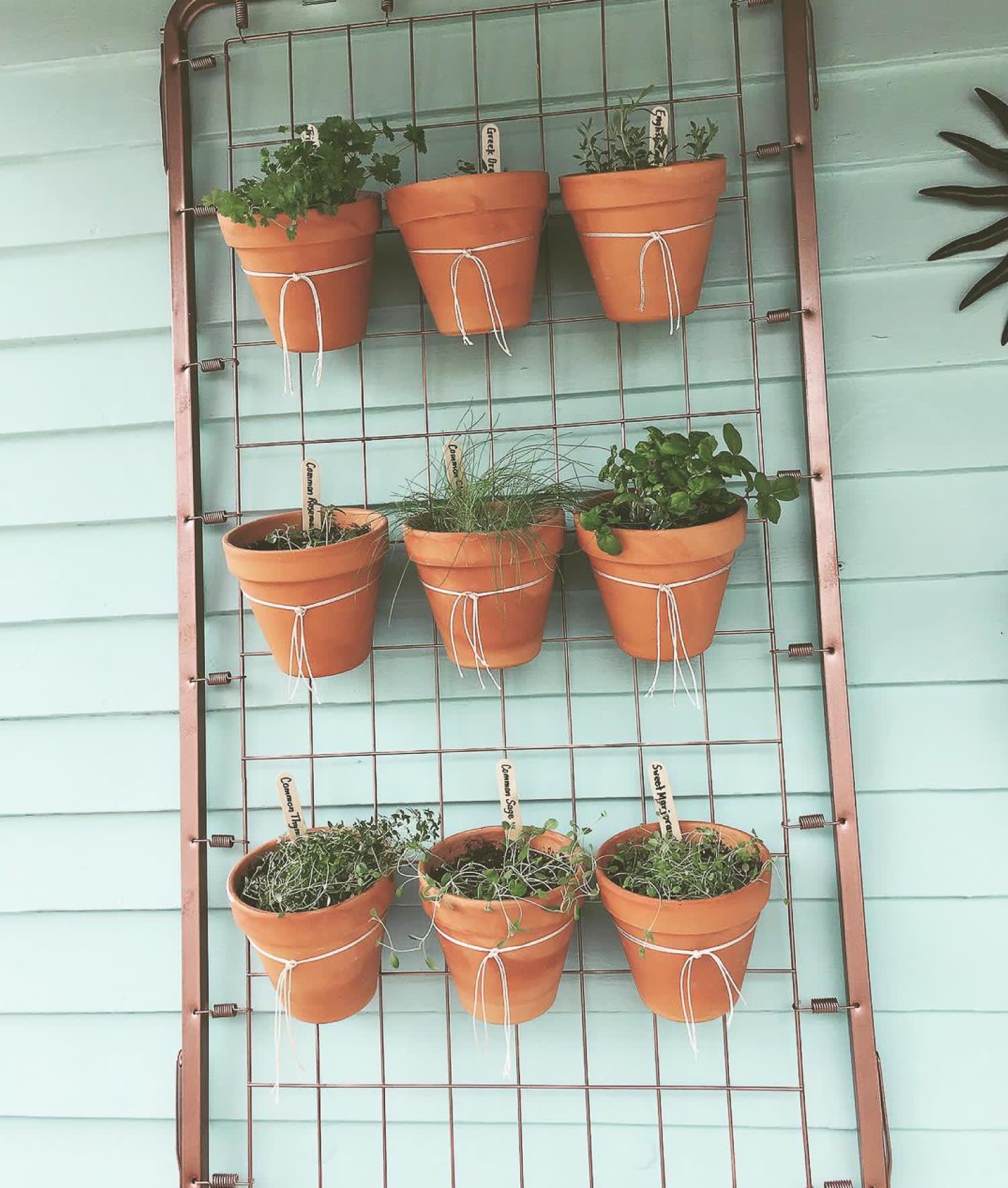 A creative herb garden