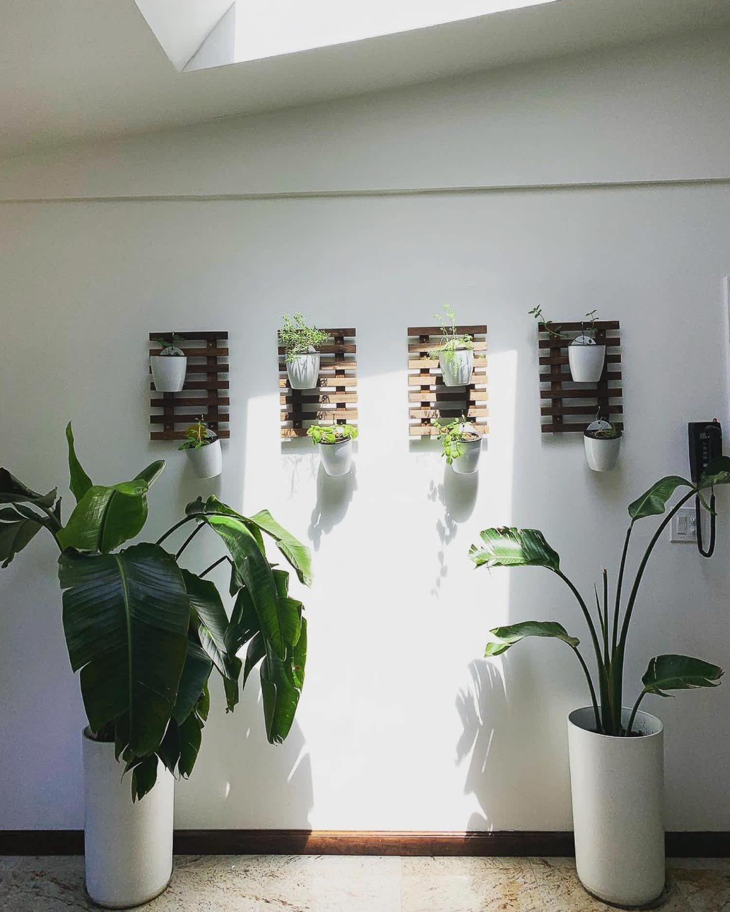 A stylish vertical herb garden