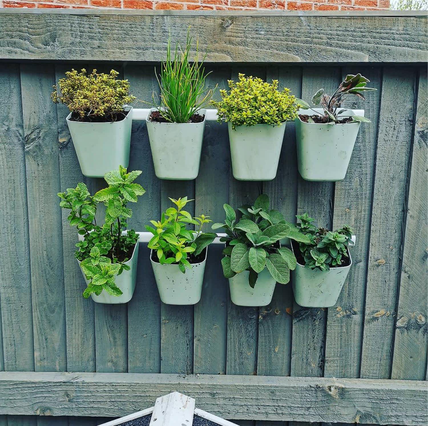 A vertical garden with IKEA herb planters