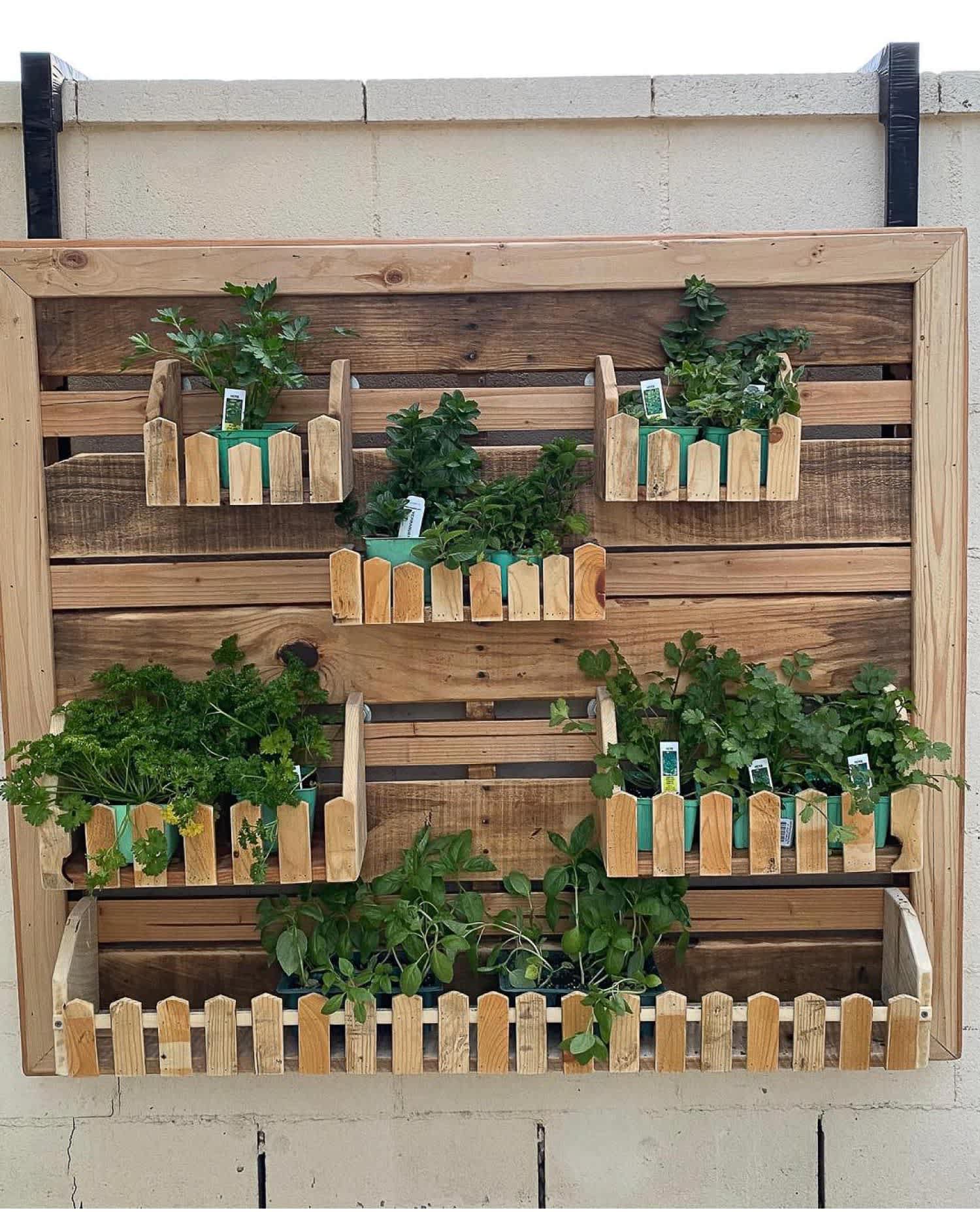 A vertical herb garden with recycle a wooden pallet