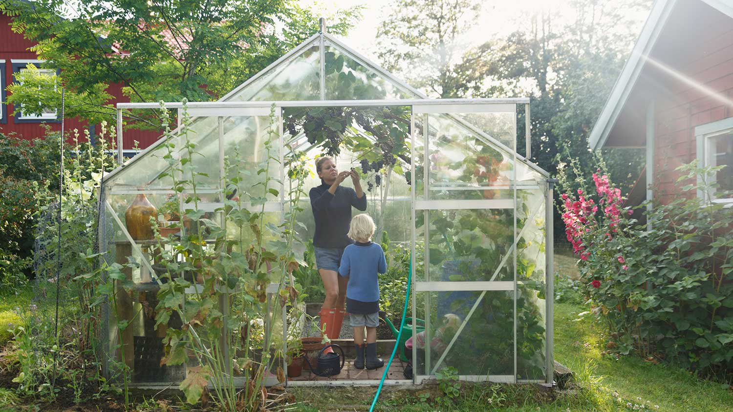 Mother and son working in green house