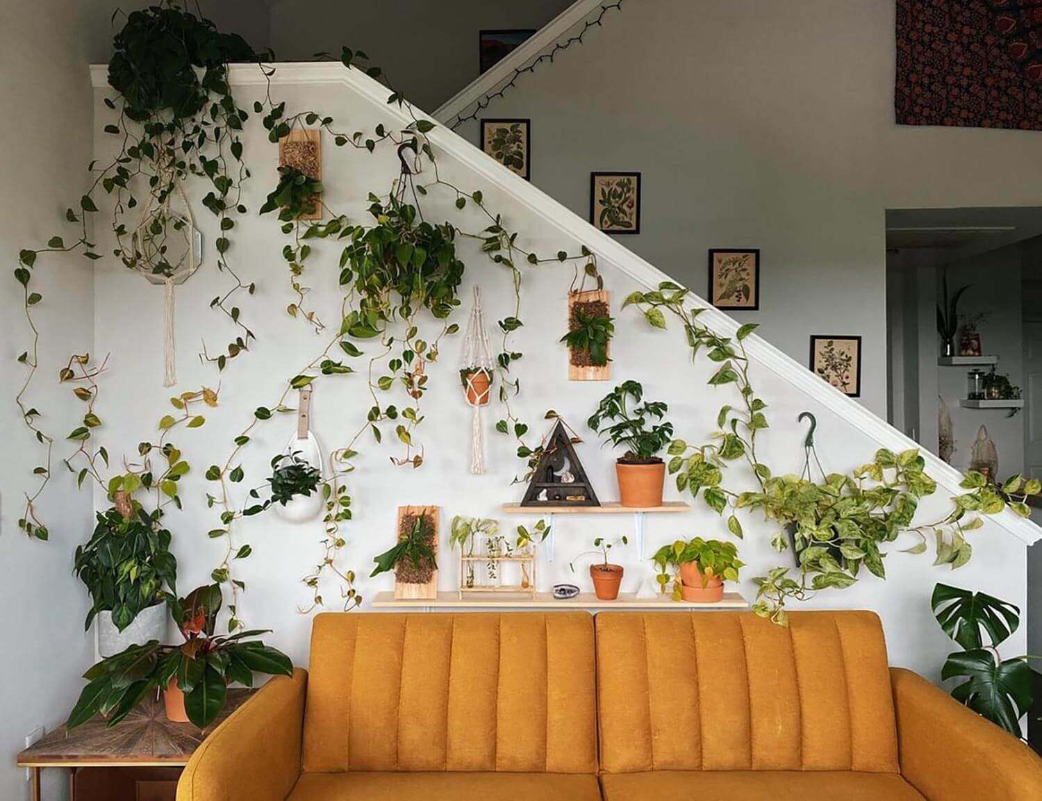 A living room with a sofa and a vine wall