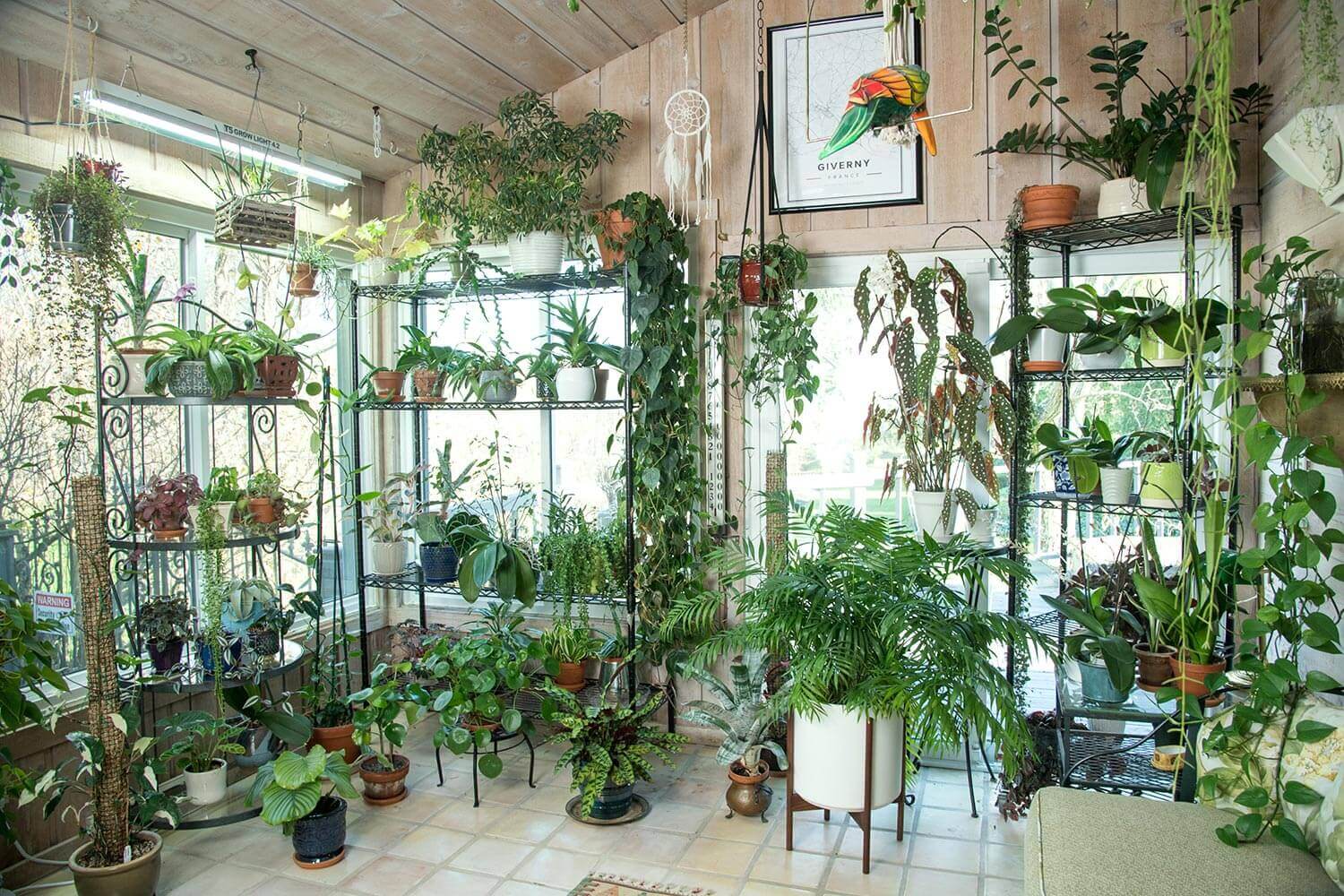 Multiple shelves creating an indoor greenhouse