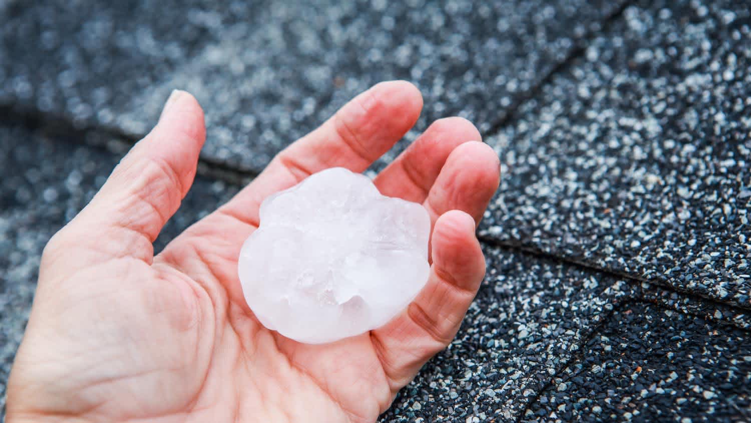 Hail in a hand after hailstorm