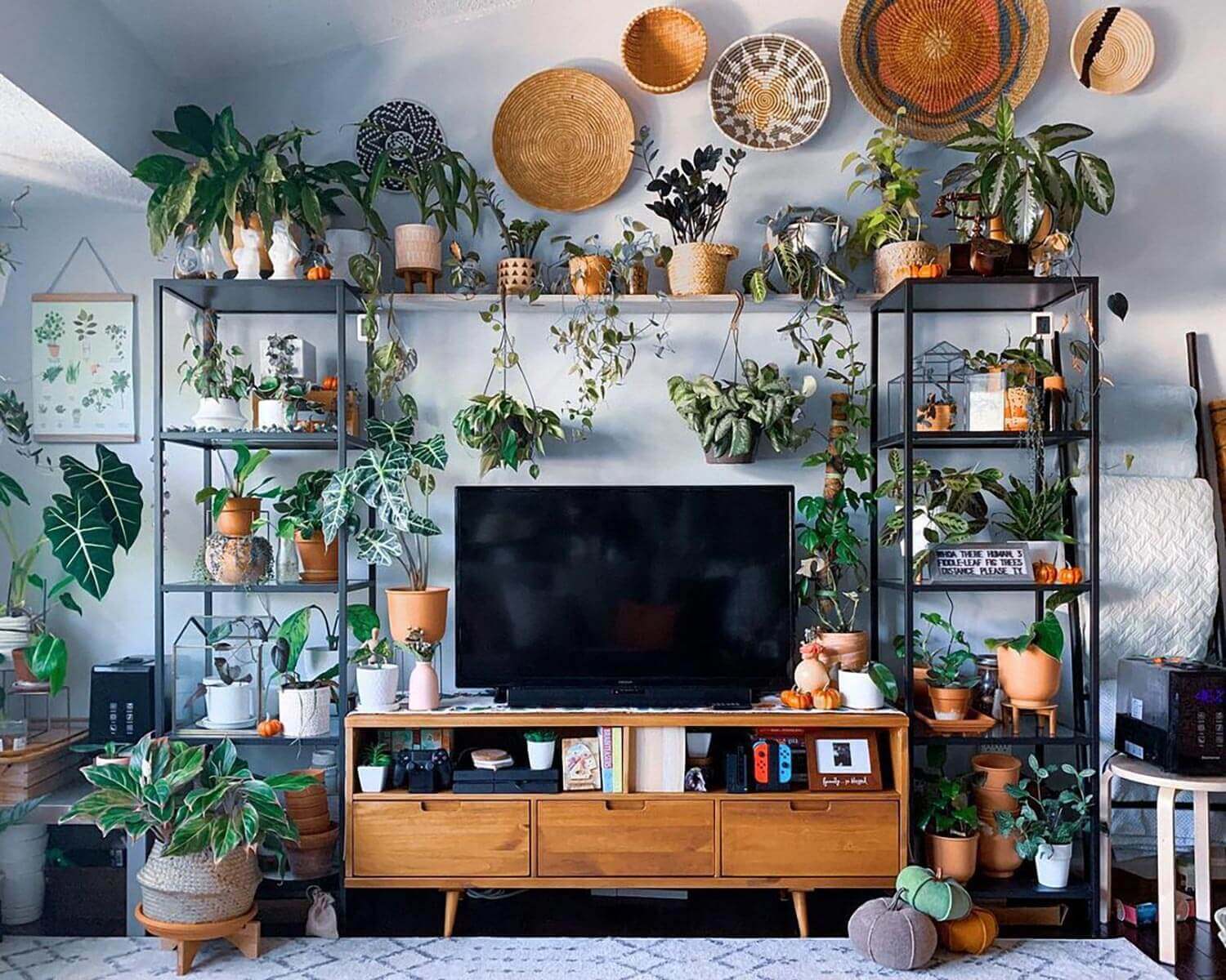 A TV set with houseplants surrounding it