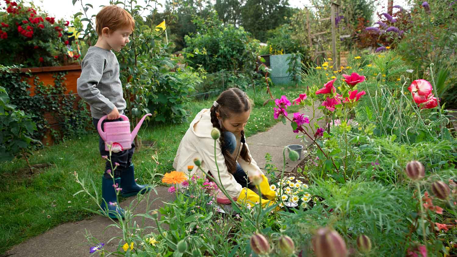 Boy and girl planting flowers in the garden at home