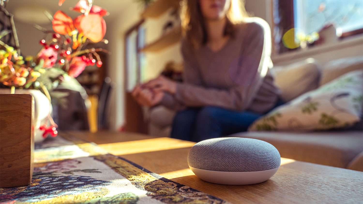 Speaker living room woman