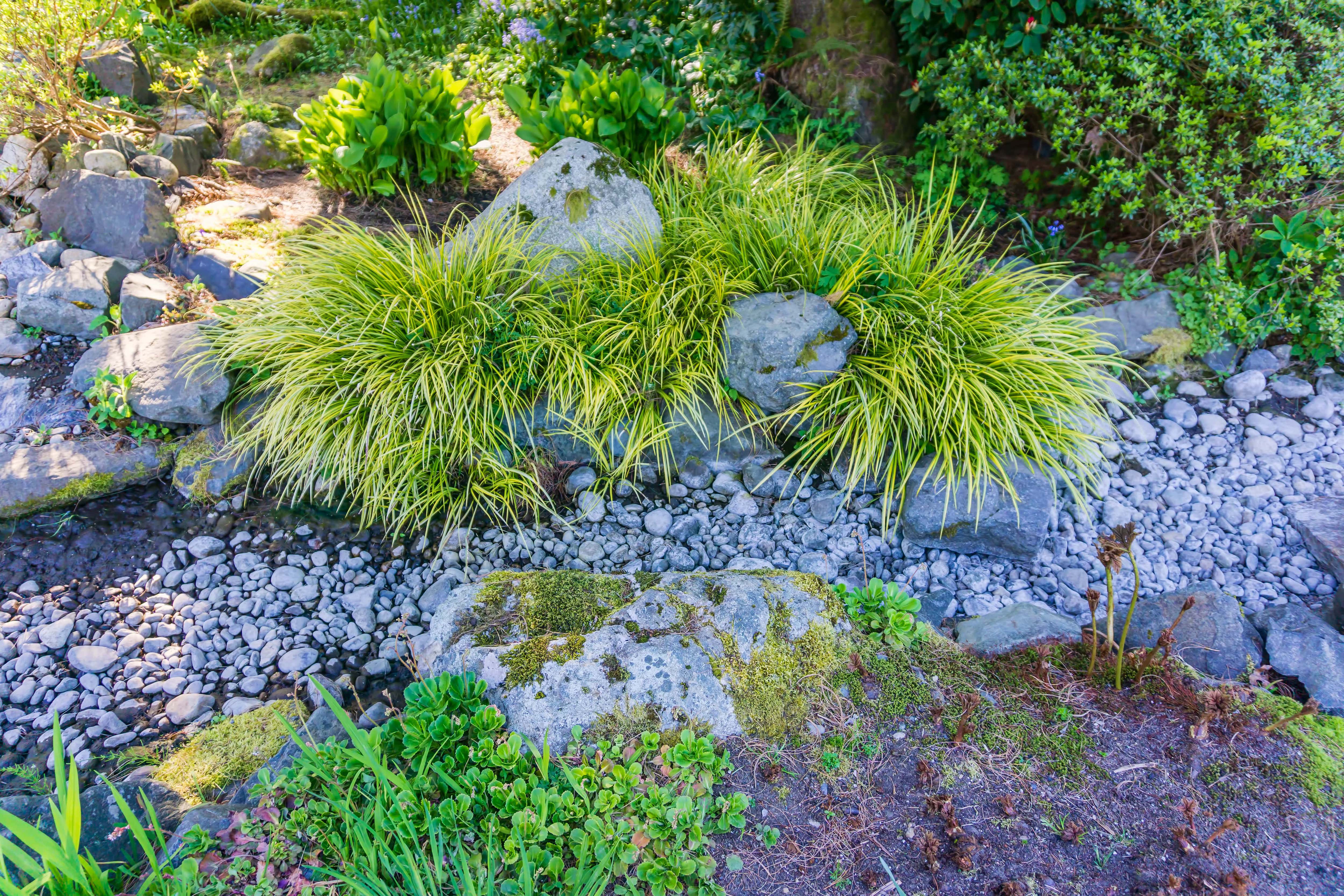 Dry creek bed landscaping