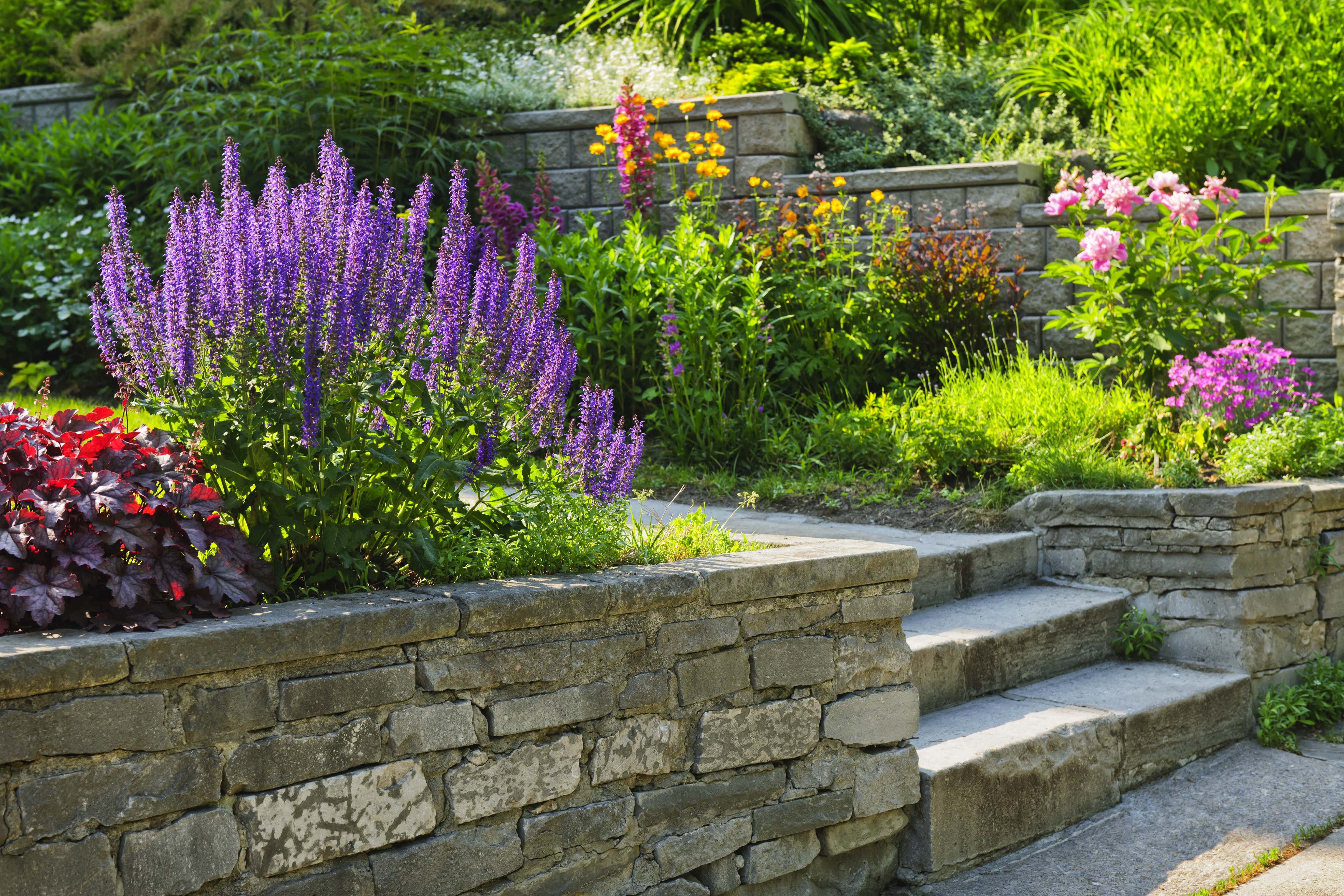 Stone retaining wall in backyard